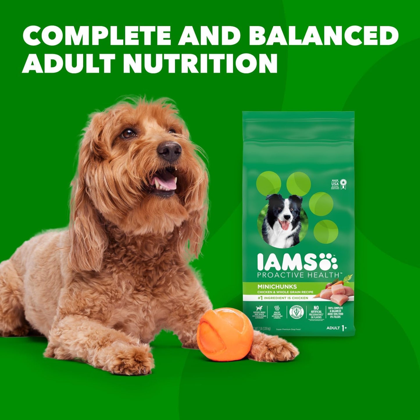 iams-proactive-health-minichunks-adult-dry-dog-food---real-chicken-40-lb-bag---complete-nutrition-for-adult-dogs-10