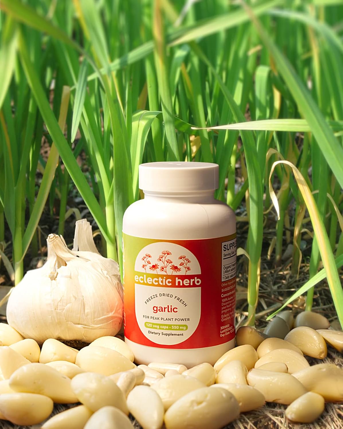 freeze-dried-non-gmo-garlic-capsules-for-overall-health-immune-support---120-ct-by-eclectic-institute-9
