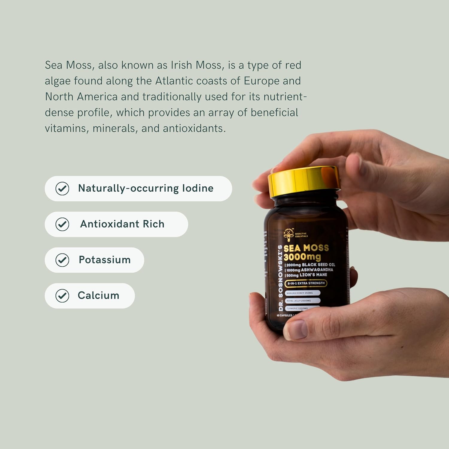 premium-bioactive-seamoss-8-in-1-formula-with-black-seed-ashwagandha-turmeric-manuka-honey-lions-mane-royal-jelly-bee-propolis-extract---60-capsules-by-dr-sosnowski-4