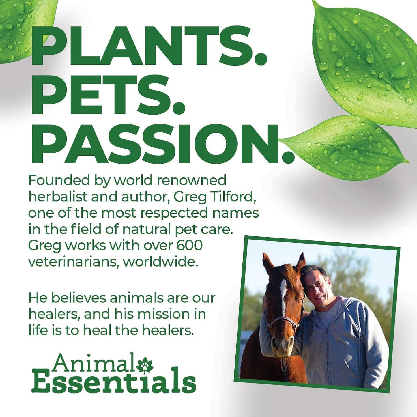 pure-icelandic-seaweed-calcium-supplement-for-dogs-and-cats---high-digestibility-lead-and-hormone-free-lab-tested-magnesium---12-oz-2-pack-6