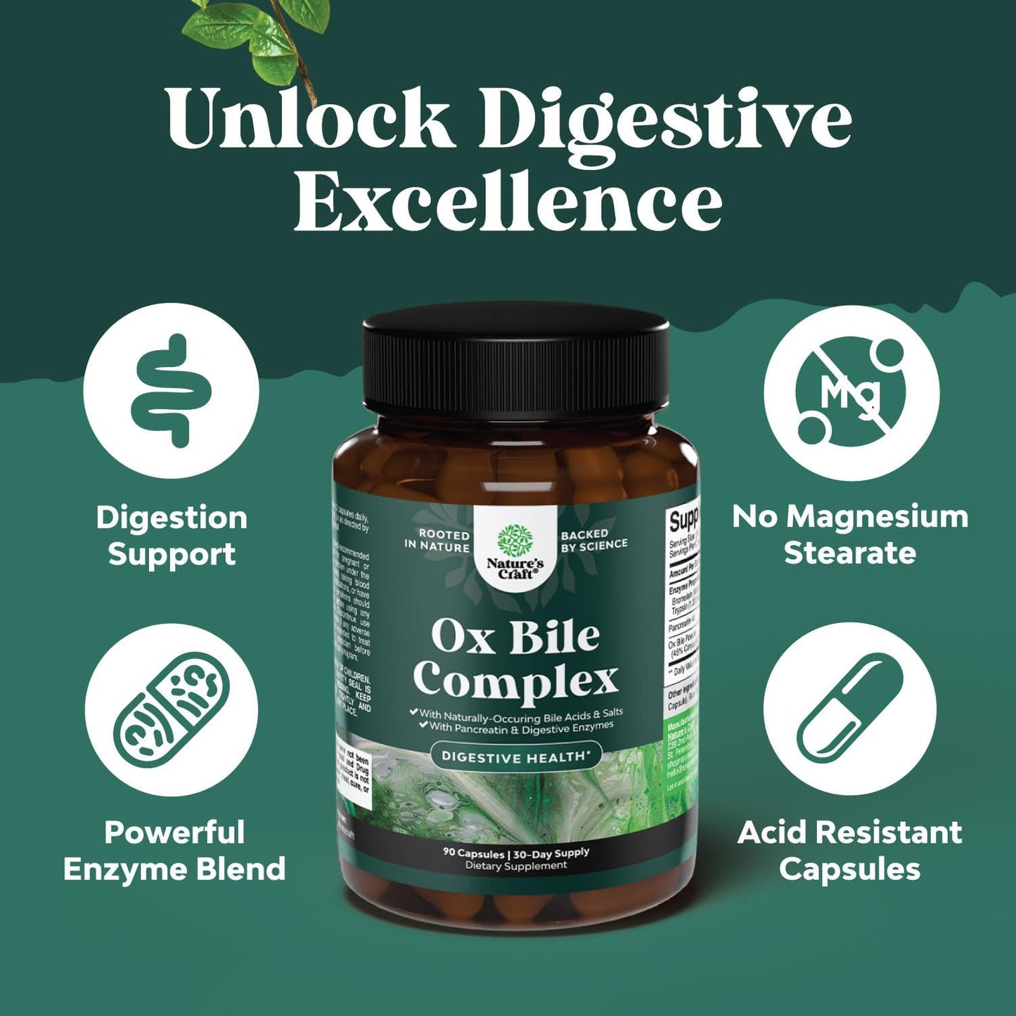 digestive-enzymes-with-ox-bile-salts-for-gallbladder-pancreas-support---pancreatin-4x-trypsin-bromelain-blend---1-month-supply-5