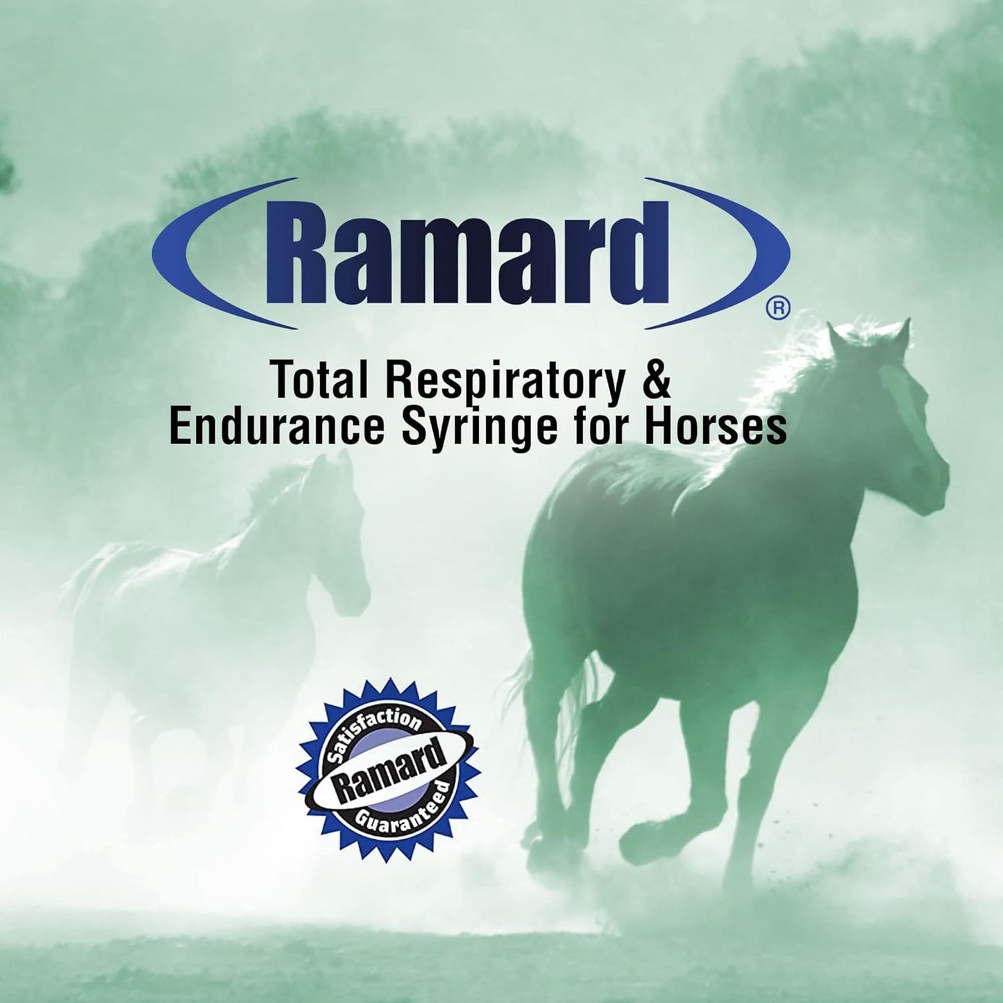 equine-respiratory-endurance-syringe-with-clairisol-peppermint-oil---12-oz---veterinary-supplements-for-horses-6