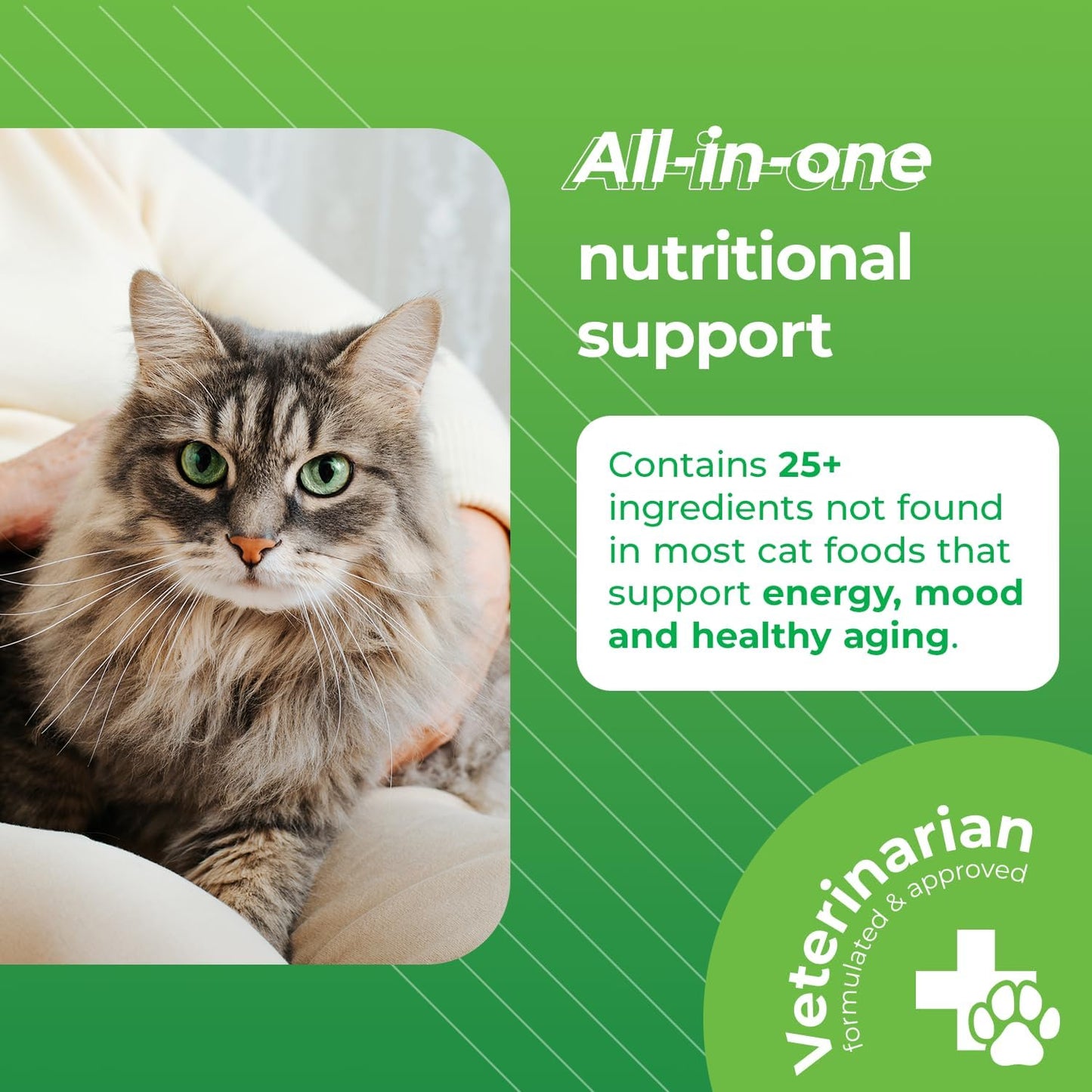 vetriscience-nu-cat-senior-multivitamin-with-lysine---30-chews---supports-heart-eye-brain-function-immunity-liver-health-in-senior-cats-2