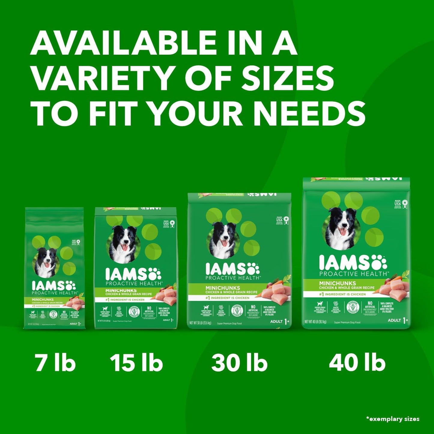 iams-proactive-health-minichunks-adult-dry-dog-food---real-chicken-40-lb-bag---complete-nutrition-for-adult-dogs-13