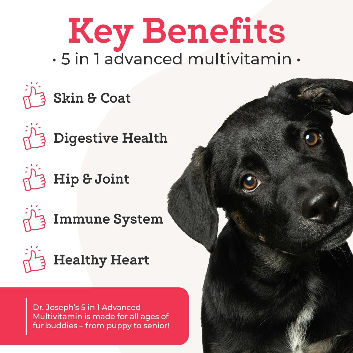 vetpro-complete-multivitamin-dog-supplement---60-count-chew-with-glucosamine-vitamins-enzymes-for-joint-health-immune-support-allergies-2