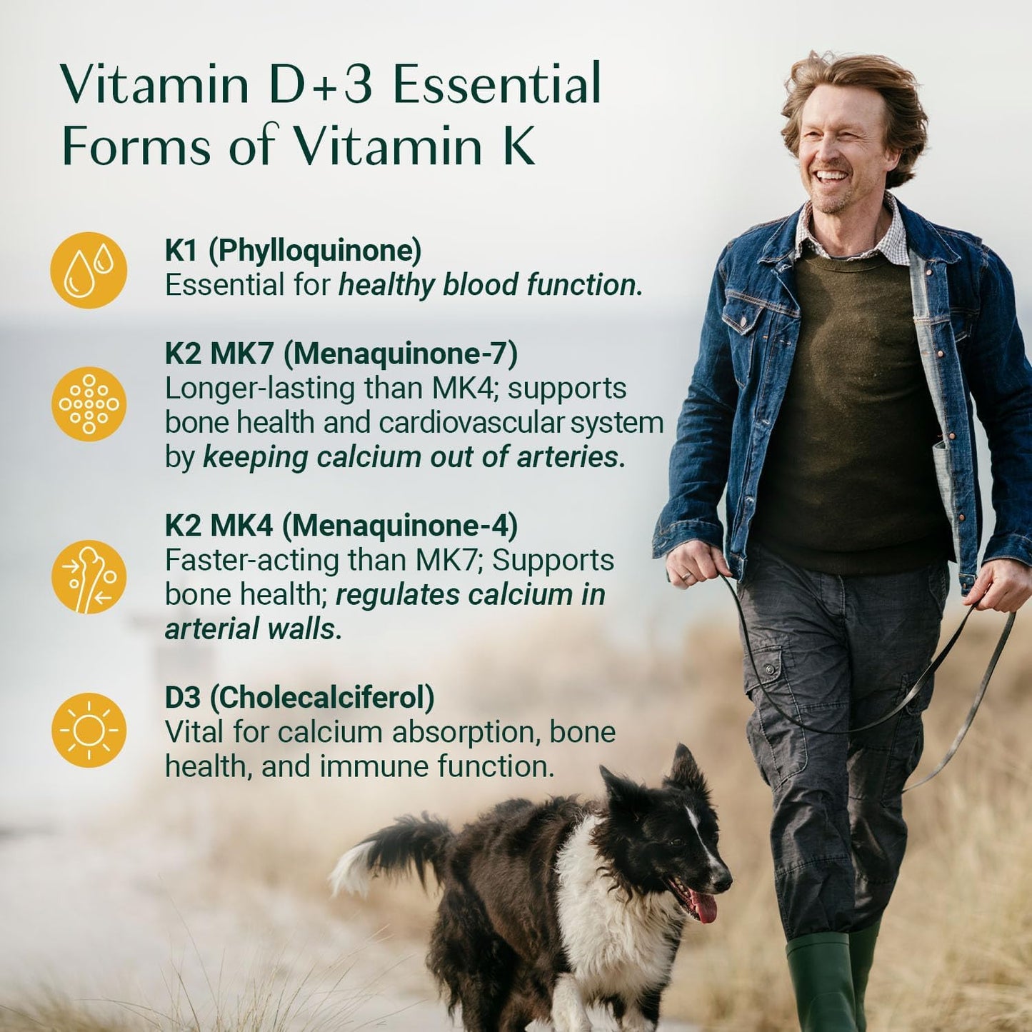 algaecal-4-in-1-vitamin-d3-k2-complex---immune-bone-health-support---whole-body-wellness-supplement---easy-swallow-softgels-6-month-supply-6