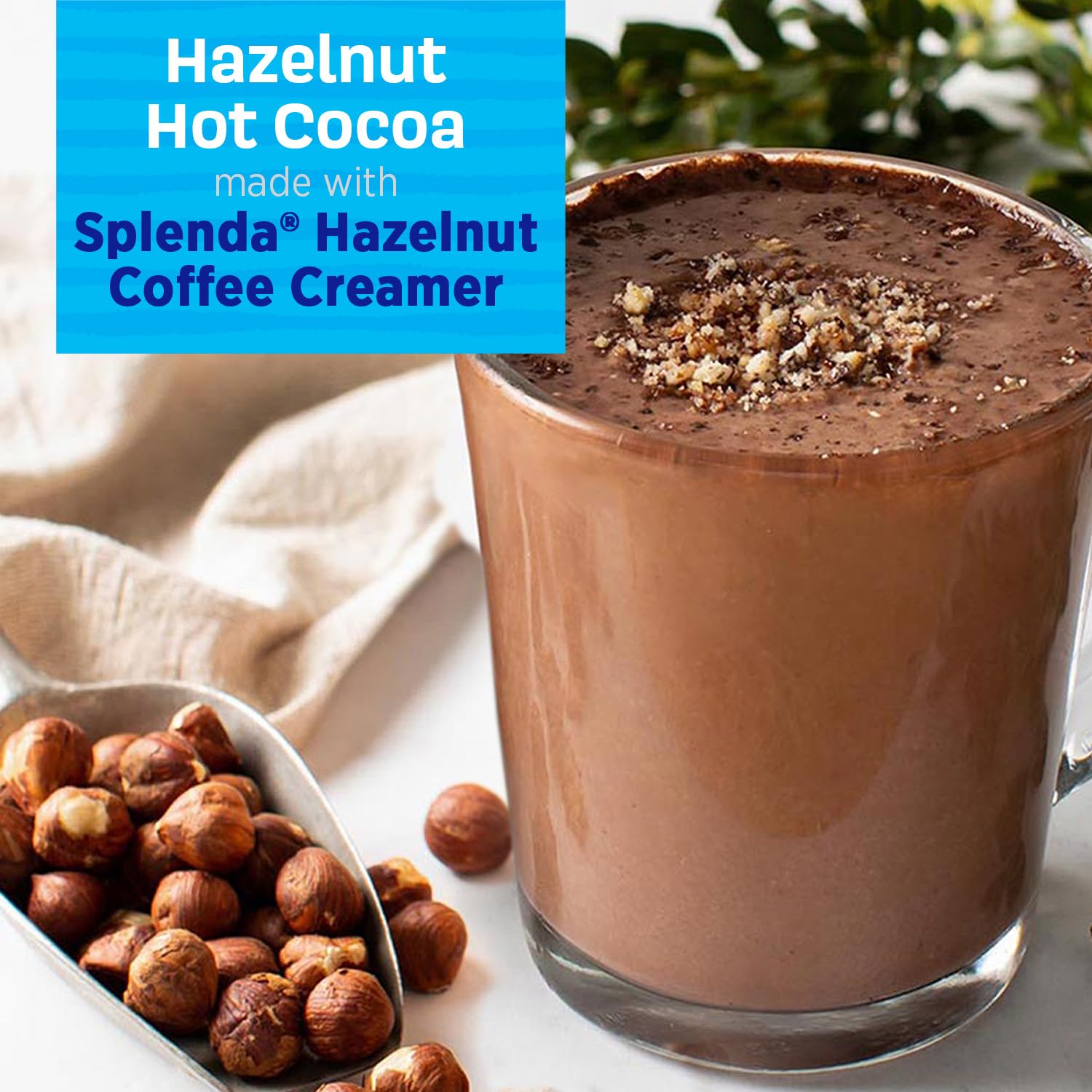 6-Pack SPLENDA Sugar-Free Hazelnut Coffee Creamer - 32 Fl Oz Bottles - Espot.com.au