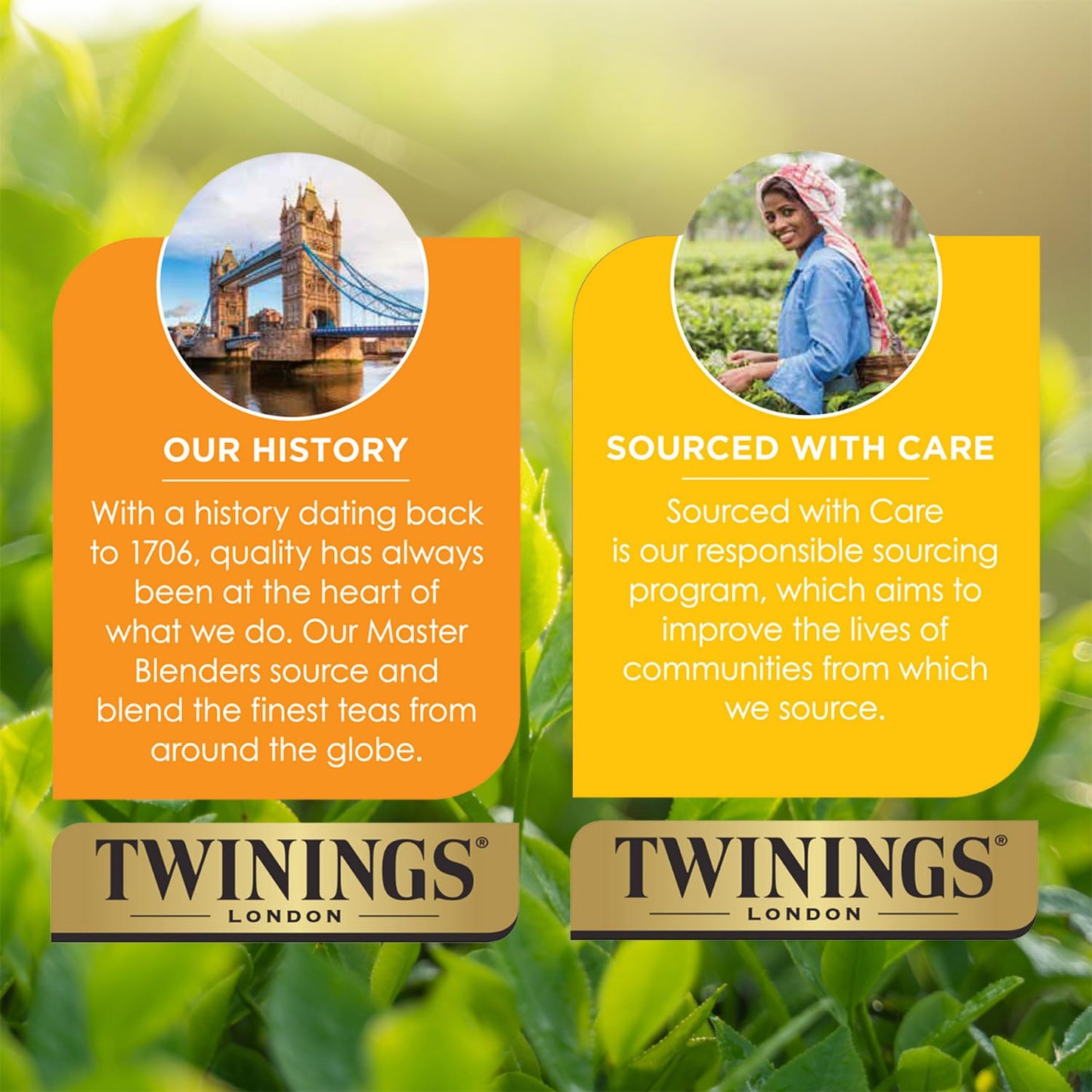 twinings-darjeeling-tea-bags---delicate-dry-black-tea-low-caffeine-coffee-alternative-individually-wrapped-40-count-7