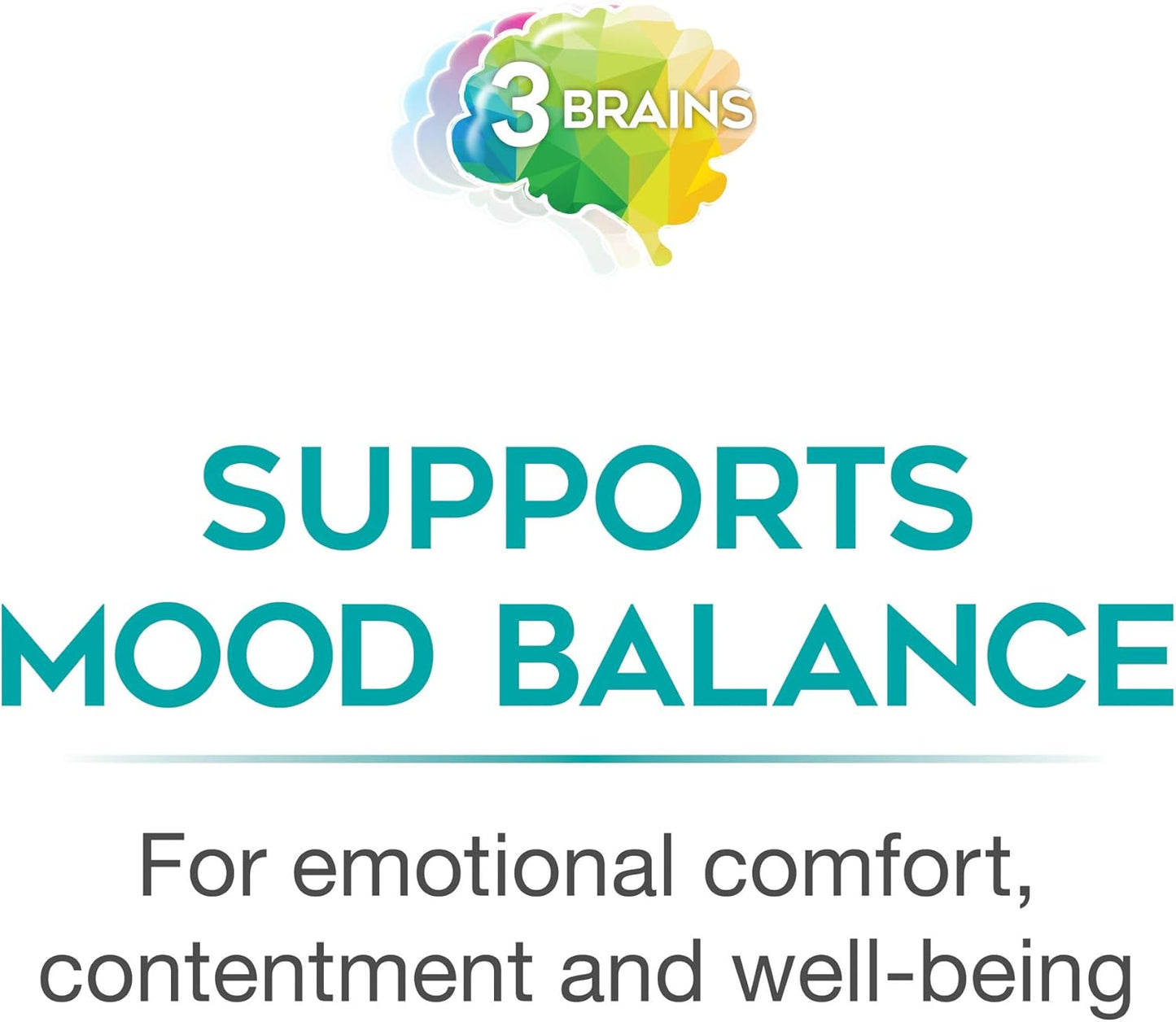 natural-factors-3-brains-mental-sunshine-supplement-supports-healthy-mood-balance-vegan-90-enteric-coated-tablets-6
