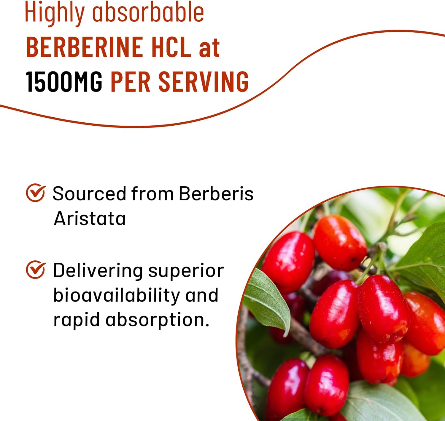 berberine-gummies-1500mg-with-ceylon-cinnamon-magnesium-citrate-milk-thistle---mixed-berry-flavored---60-count---adults-kids-7