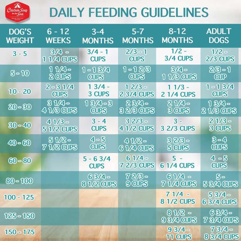 grain-free-chicken-pea-sweet-potato-dry-dog-food---real-ingredients-no-artificial-flavors---all-life-stages---25-lb-bag-9