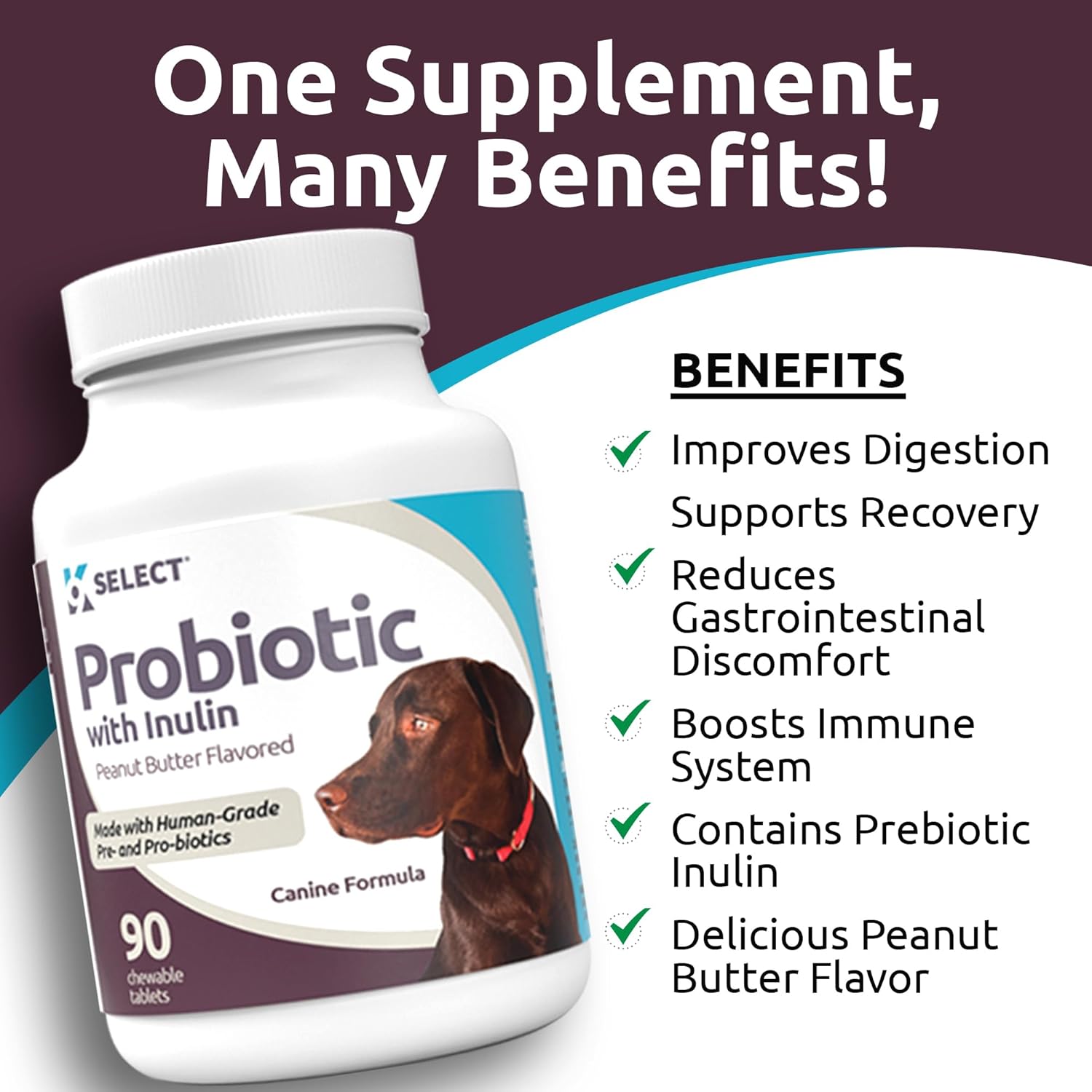 90-chewable-tablets-of-k9-probiotic-with-inulin-for-dogs---promotes-healthy-digestion-and-nutrient-uptake---supports-canine-digestive-health-with-enzymes-5