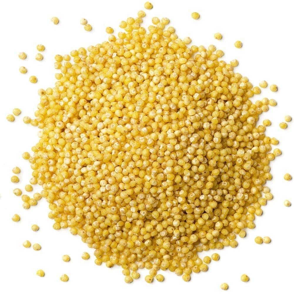 organic-hulled-millet-seeds---25-pounds-bulk-non-gmo-kosher-raw-whole-grain-from-usa-3