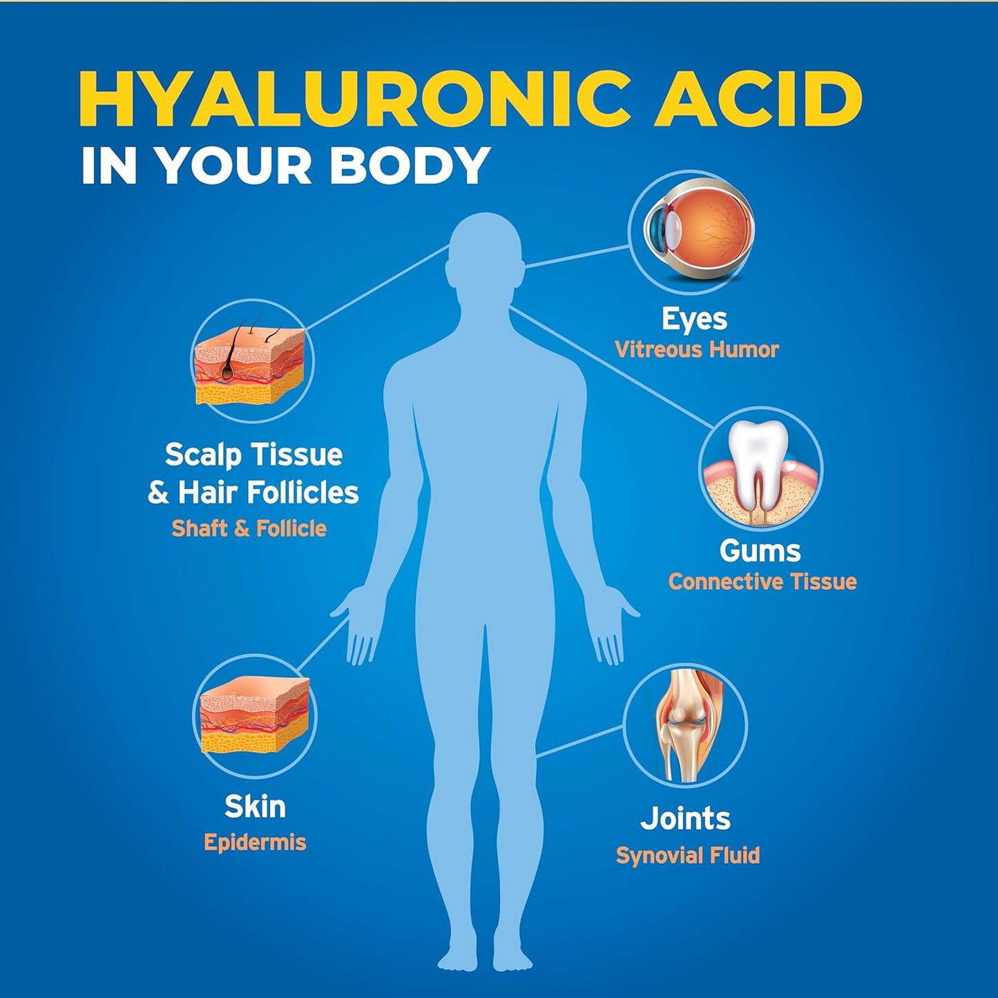 liquid-hyaluronic-acid-supplement---supports-skin-joints-eyes-lips---vegan-gluten-free---1oz-7