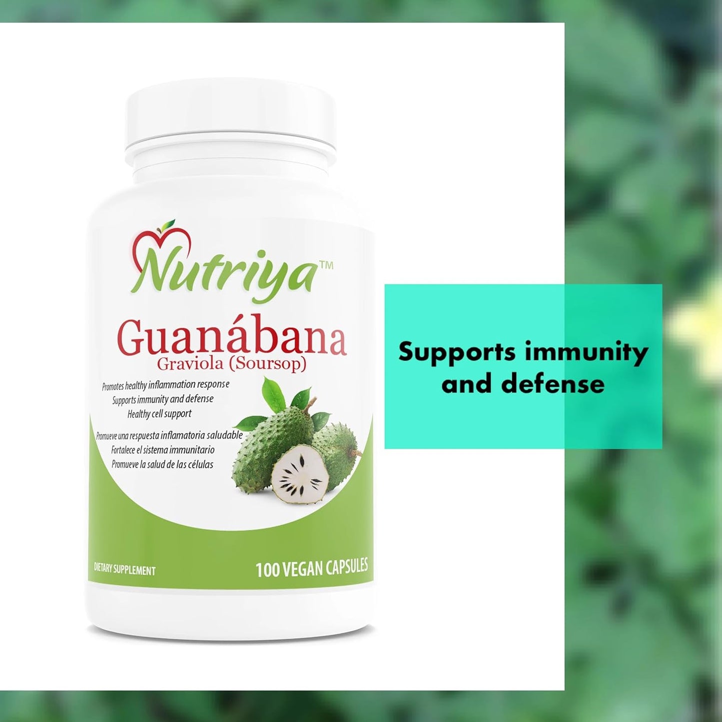 Nutriya Guanábana (Graviola-Soursop) Capsules - Antioxidant for Healthy Cells, Immune System Support - 100 Veg Caps - Espot.com.au