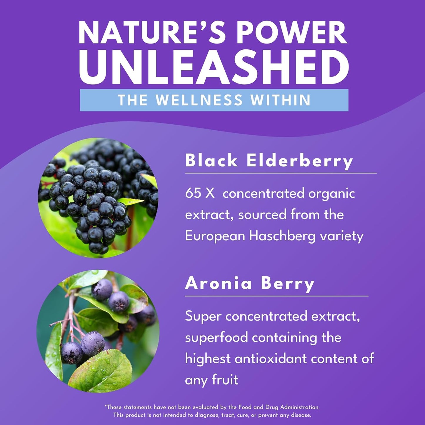 Elderberry Plus Capsules with Zinc & Vitamin C - 65x Concentrated Extract for Immune Support - Non-GMO, 30 Vegan Capsules for Wellness - Espot.com.au