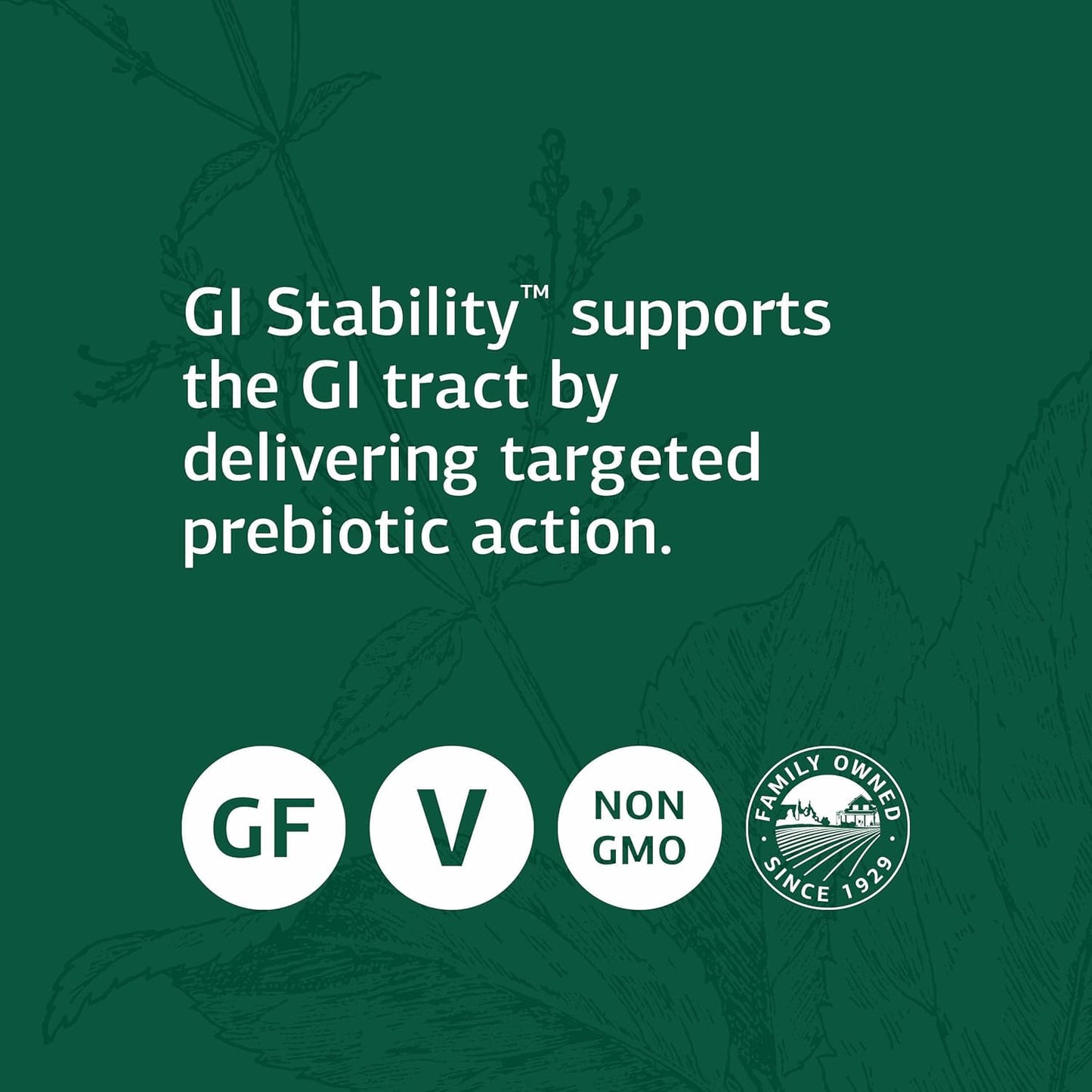 standard-process-gi-stability-wafers---90-count---digestive-health-support-supplement-3