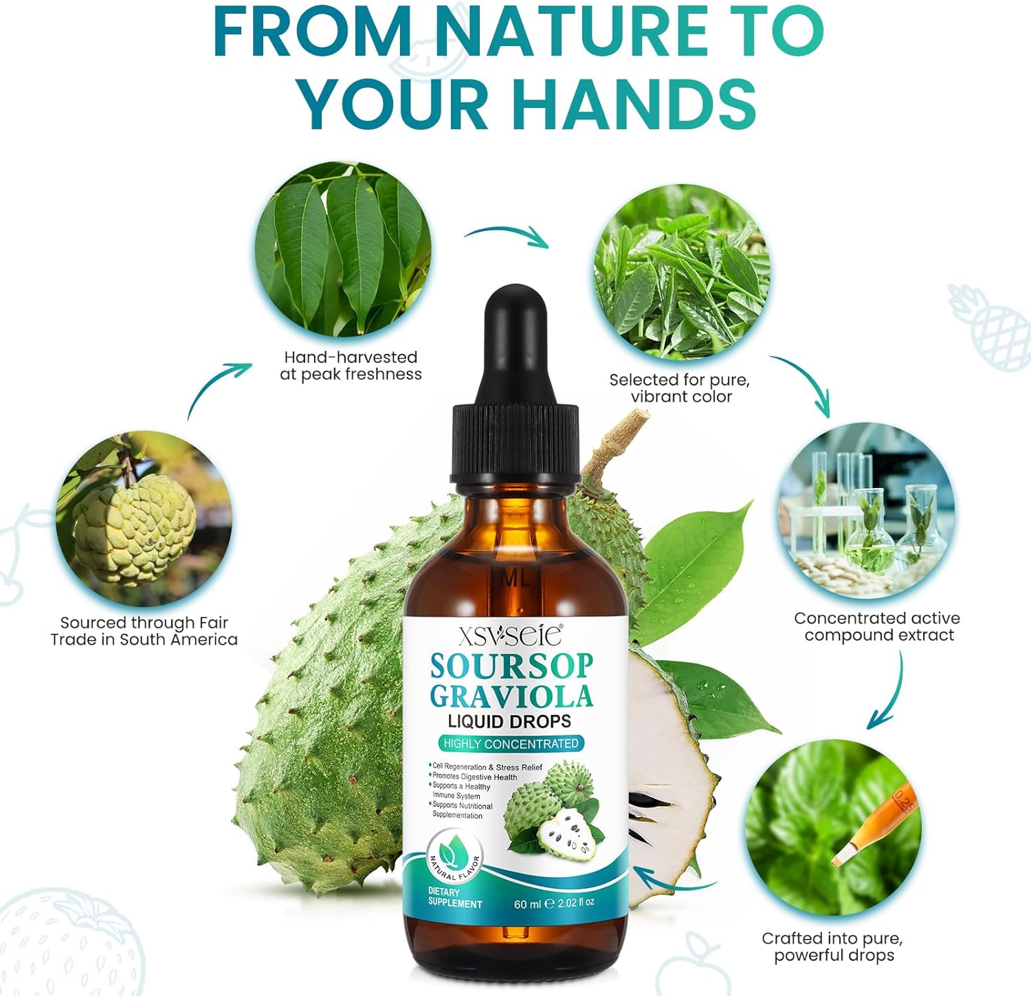 soursop-graviola-liquid-drops-for-immune-support-relaxation---vegan-sugar-gluten-free---2-fl-oz-5