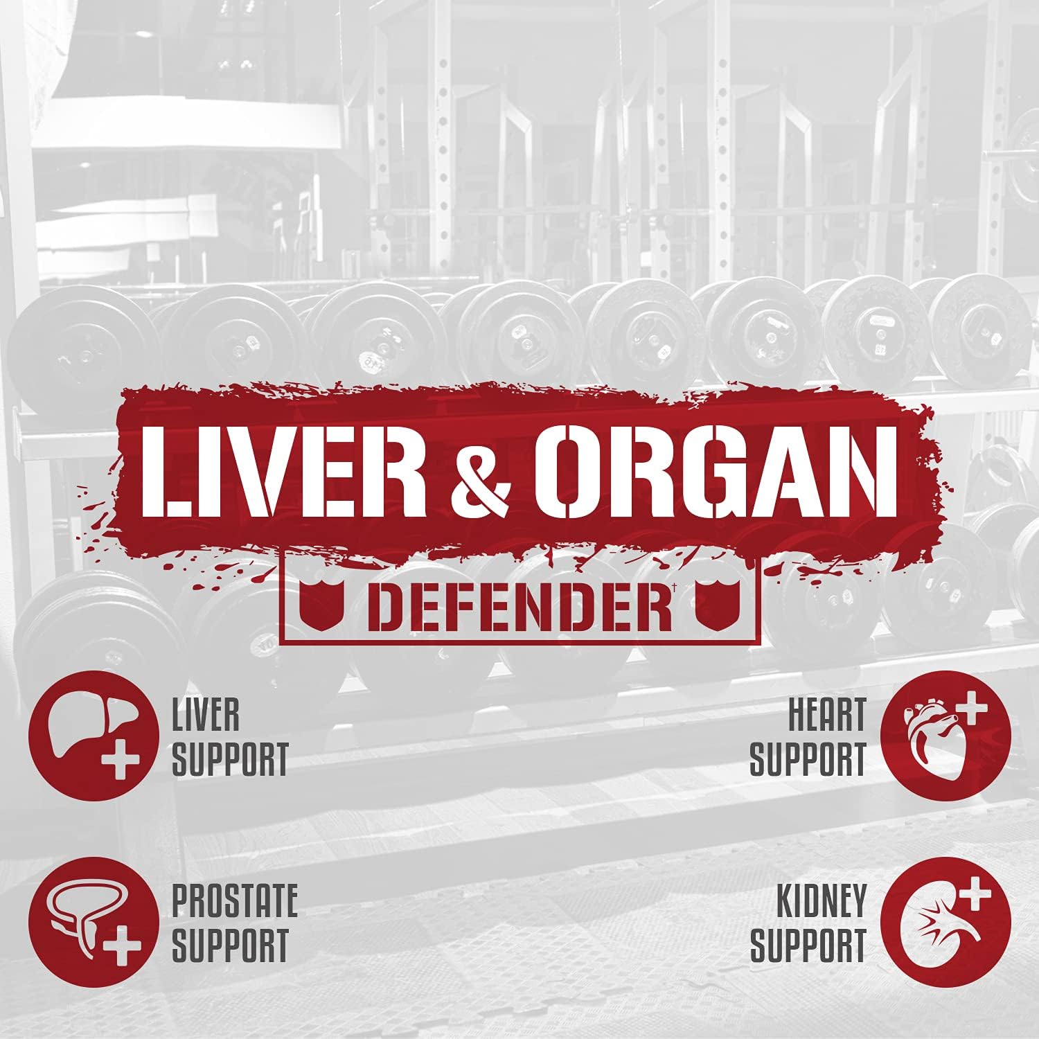 Liver & Organ Defender Stack with NAC & BiggerByTheDay for Heart, Liver, & Kidney Support + Anabolic Muscle Builder & Lean Mass Gainer with Turkesterone & L-Leucine - Espot.com.au