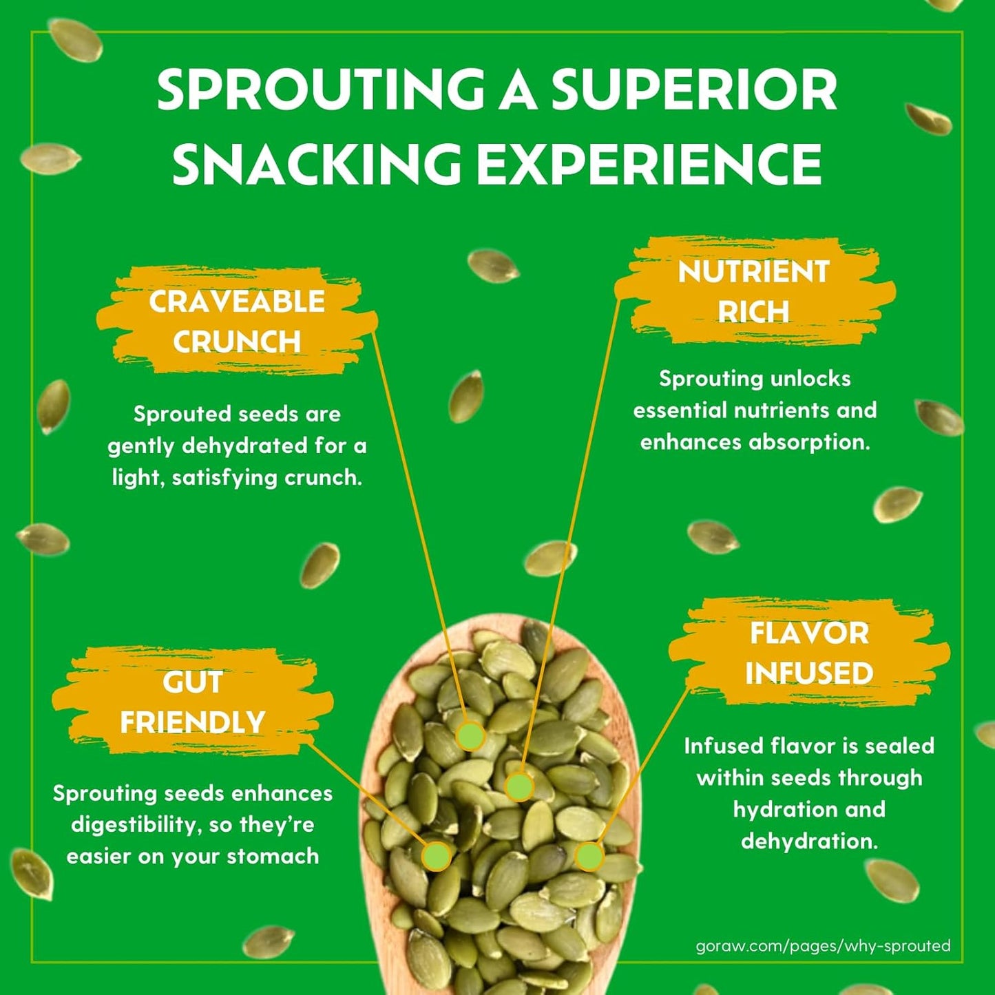 organic-sprouted-sunflower-seeds-14-oz---sea-salted-keto-kosher-superfood-by-go-raw-3