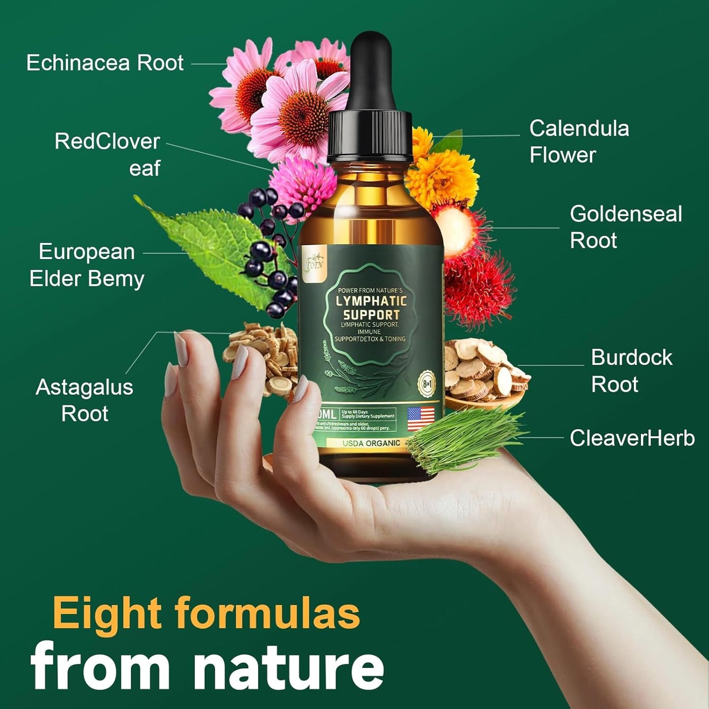 organic-herbal-lymphatic-drainage-drops-with-echinacea-elderberry-astragalus-burdock-calendula---immune-support-anti-inflammatory-detox-cleanse---2-fl-oz-3