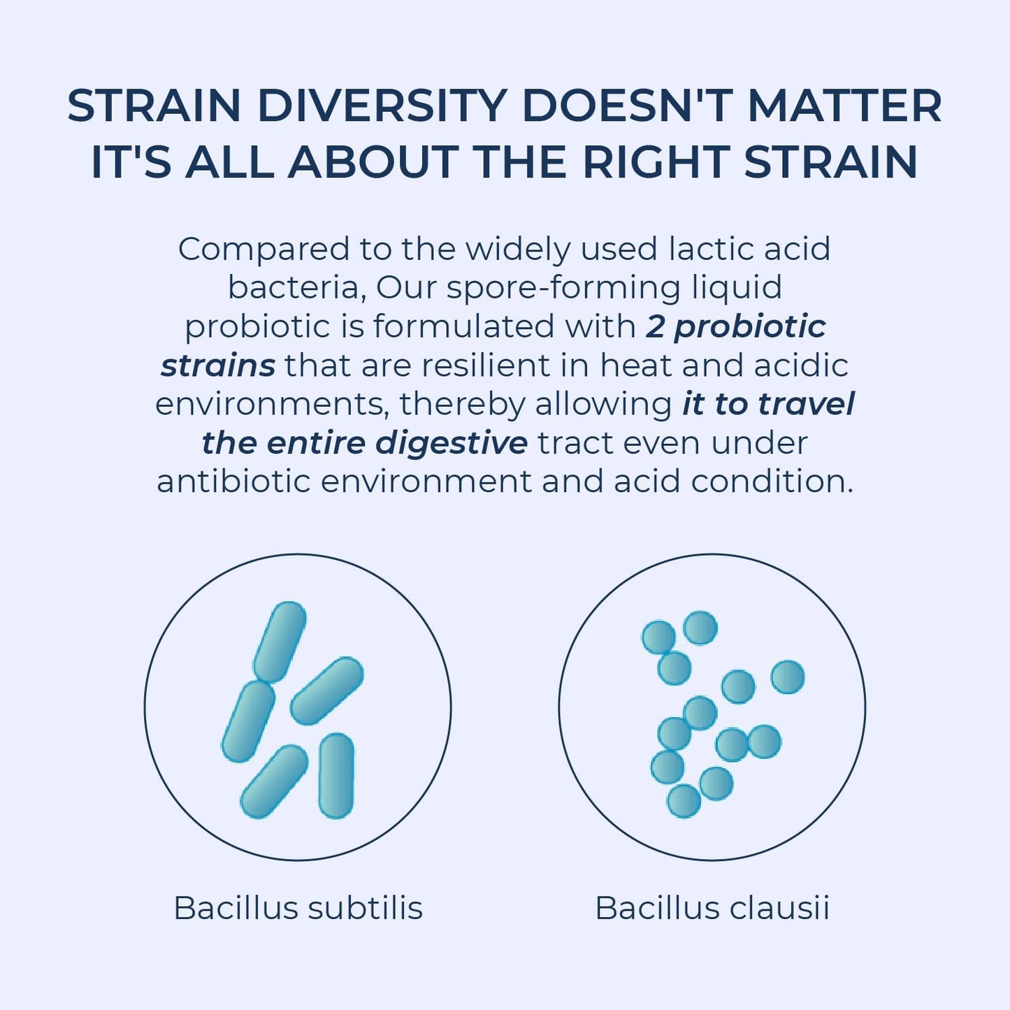 Rectum Soil-Based Probiotic Liquid for Gut Health - Stomach Relief, Bloating Reduction, Immune Support - Daily Drink for Adults and Kids - 20 Vials (3 Billion CFUs per Vial) - Espot.com.au