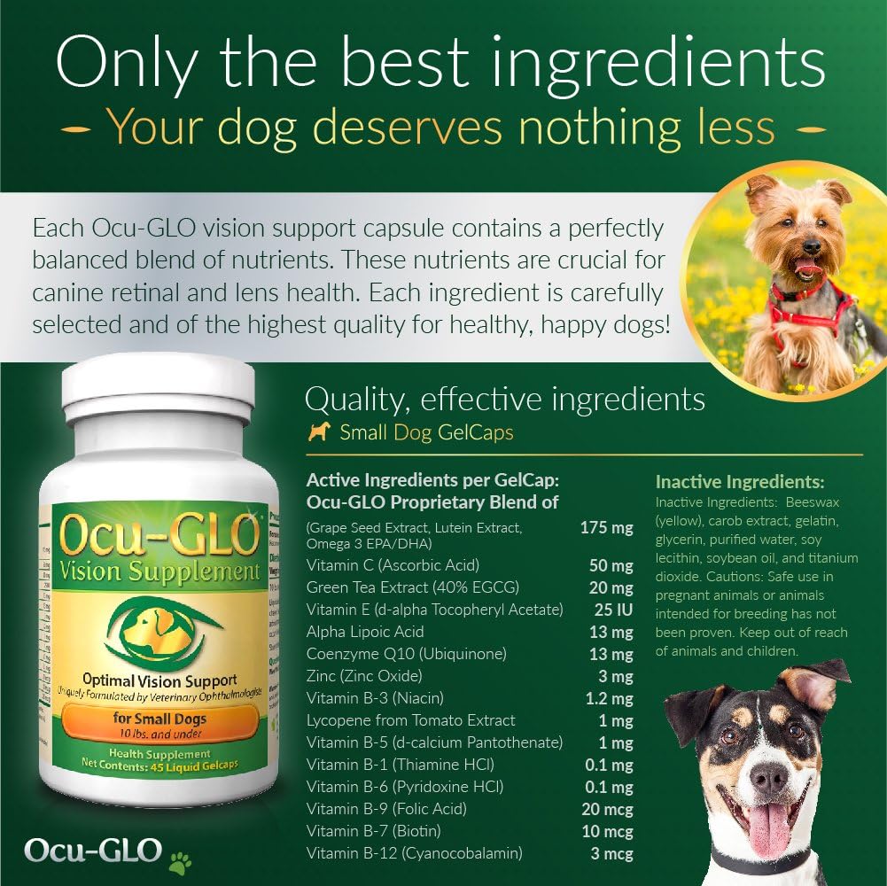 small-dog-vision-supplement-with-lutein-omega-3-grapeseed-extract---promotes-optimal-eye-health---antioxidants-for-canine-ocular-health---90-capsules-4