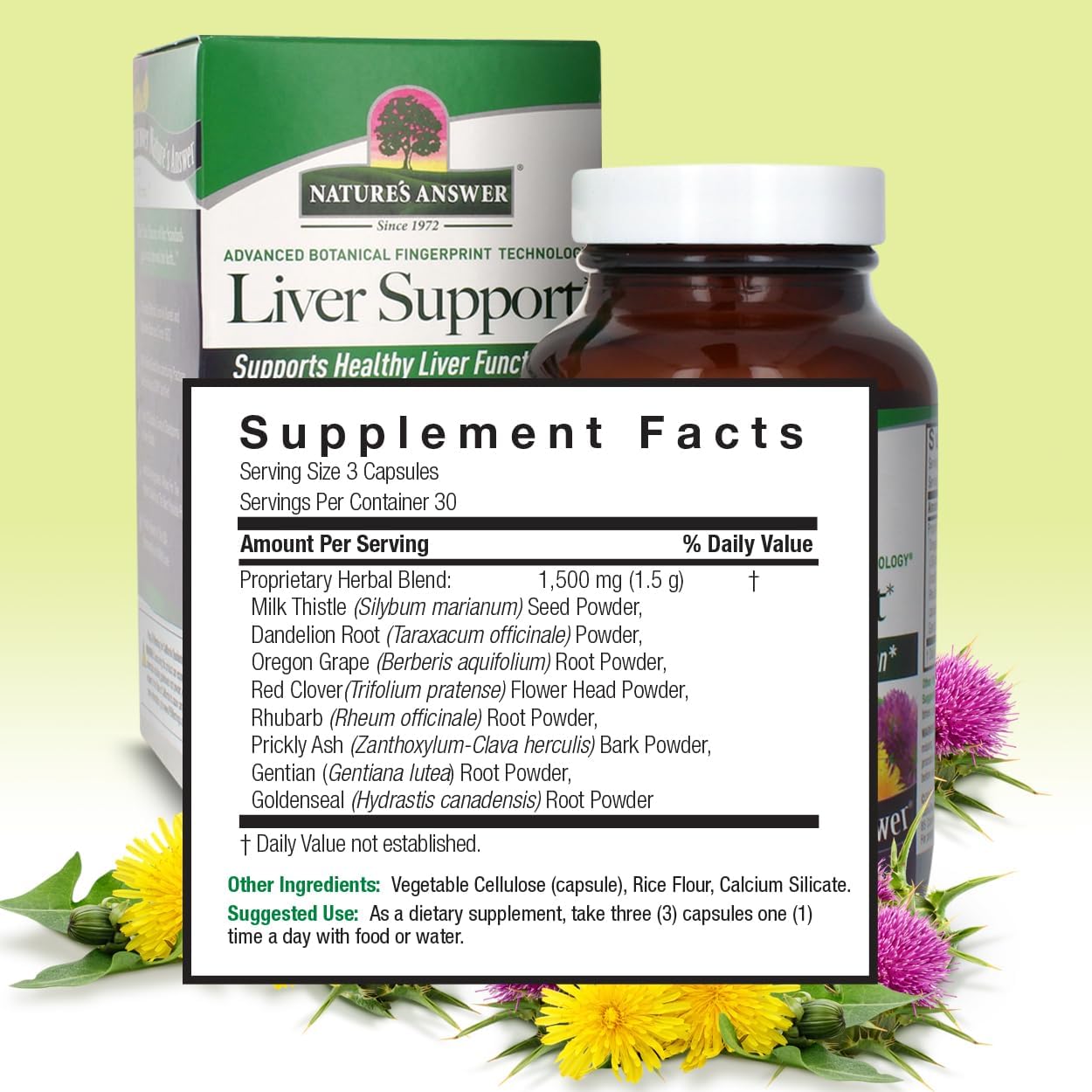 herbal-liver-support-supplement-with-milk-thistle-dandelion---promotes-healthy-liver-function---kosher-certified-vegetarian-vegan---90-capsules-3