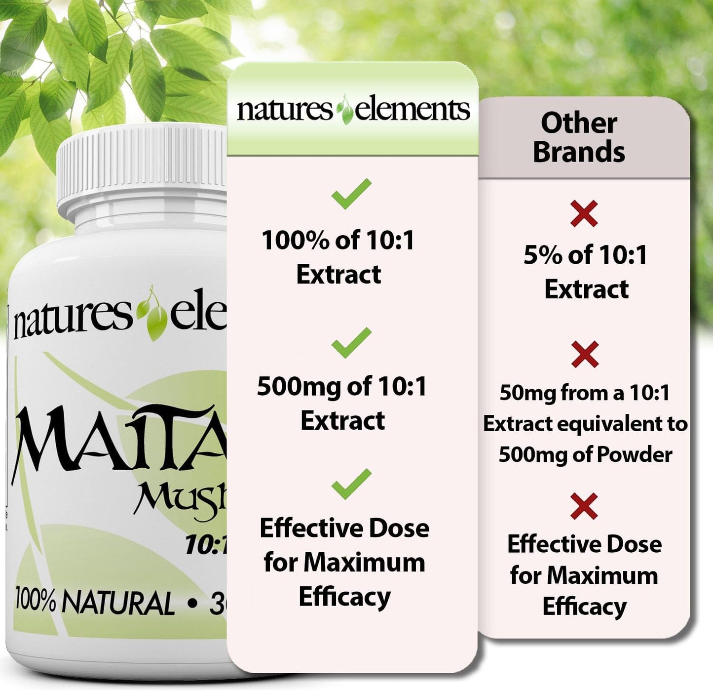 3-pack-maitake-mushroom-extract-for-immune-support---101-concentration---30-polysaccharides---vegetarian-friendly-6