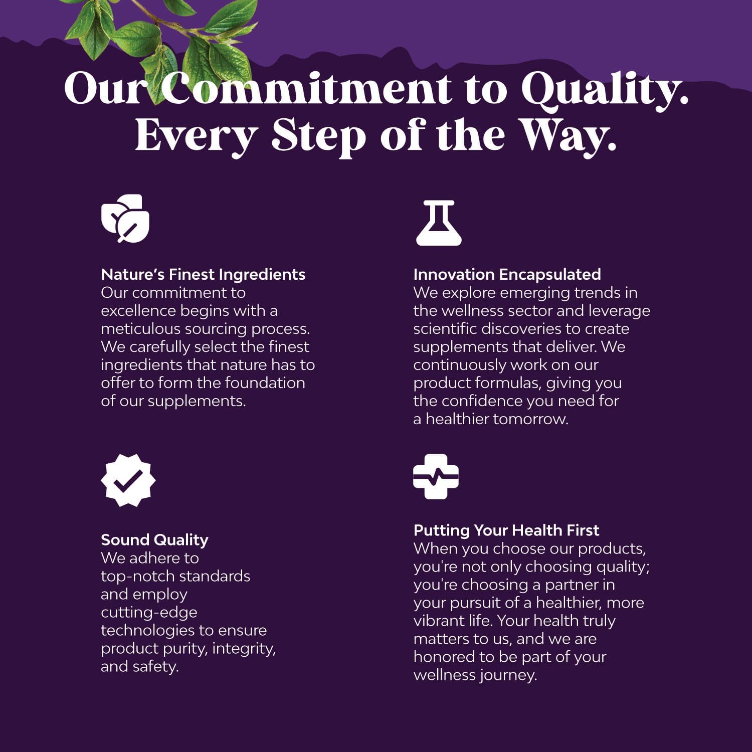 Acai Berry Capsules Antioxidant Supplement for Brain and Heart Health Boost - Natures Craft Acai Berry Cleanse Superfood Capsules for Natural Energy and Memory Support - Espot.com.au