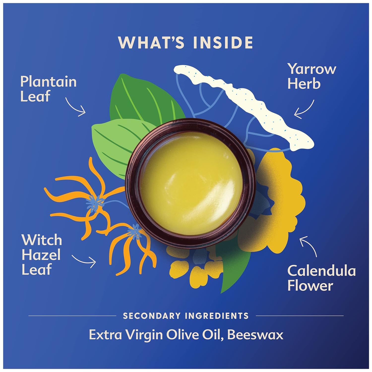 Organic Herbal Salve for Pregnancy & Postpartum with Witch Hazel - Motherlove Mom's Bottom Balm (2 oz) - Non-GMO Ointment - Espot.com.au