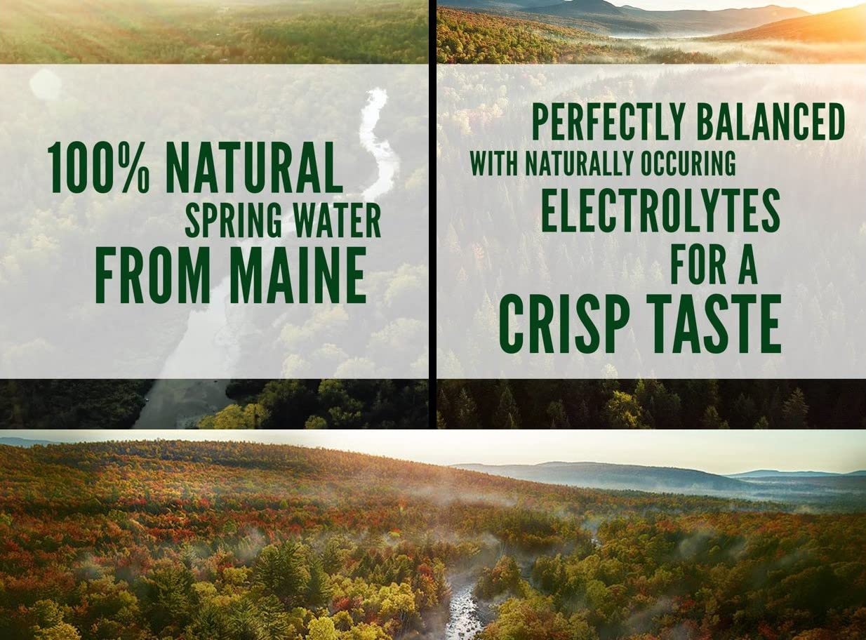 Poland Spring 8 oz Mini Bottled Water 16 Pack - Macouba Small Spring Water Bottles - Espot.com.au