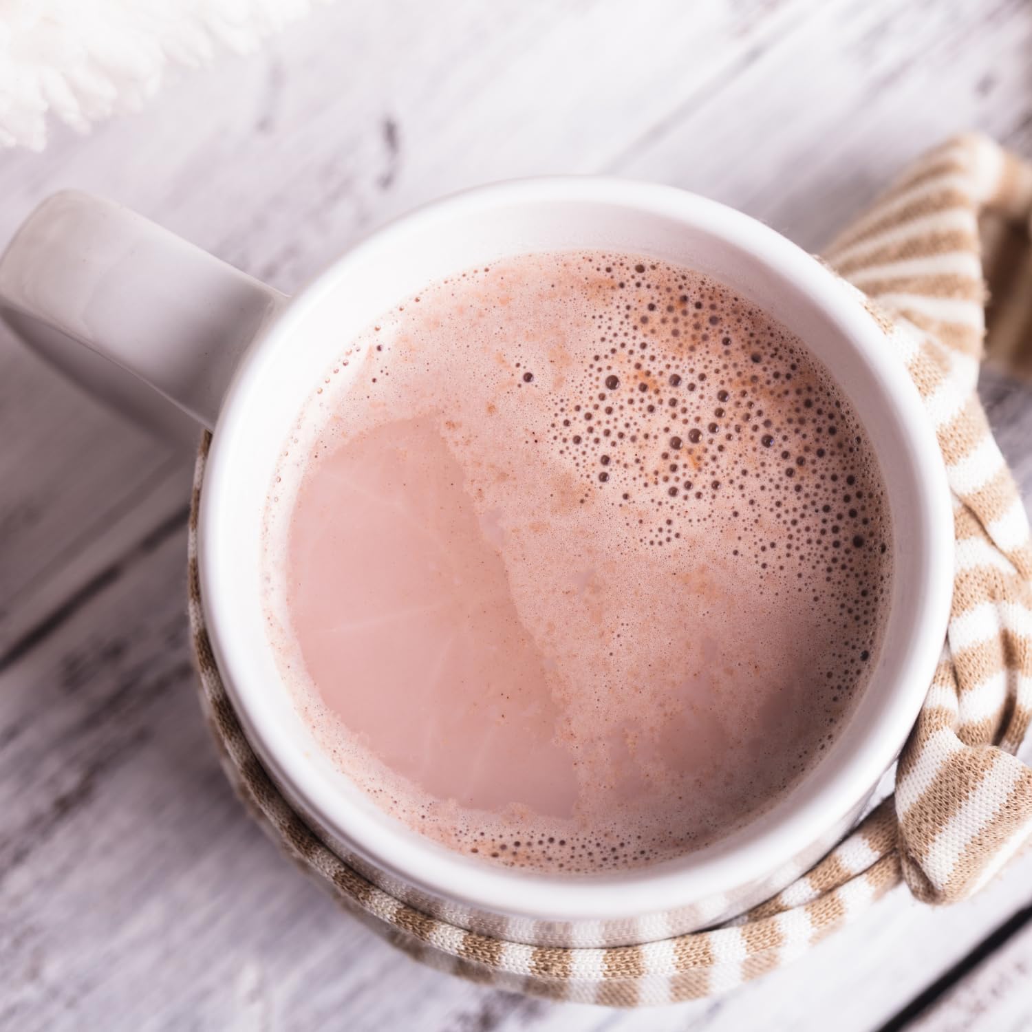 High Protein Hot Cocoa Mix - Nutmeg State Nutrition, Low Calorie Chocolate Protein Drink - 15g Protein, 80 Calories, 3g Sugar - 21 Servings, 17.6 oz - Espot.com.au