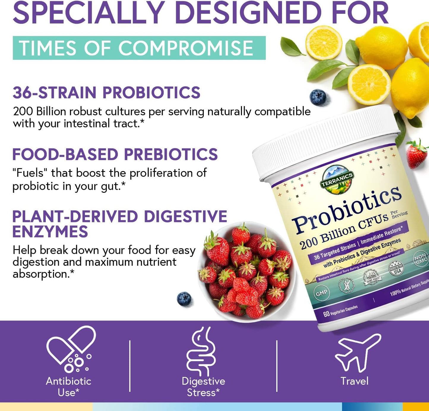 terranics-daily-probiotics-200-billion-36-strains-probiotics-with-prebiotics-enzymes-healthy-regularity-delayed-release-60-veggie-capsules-3