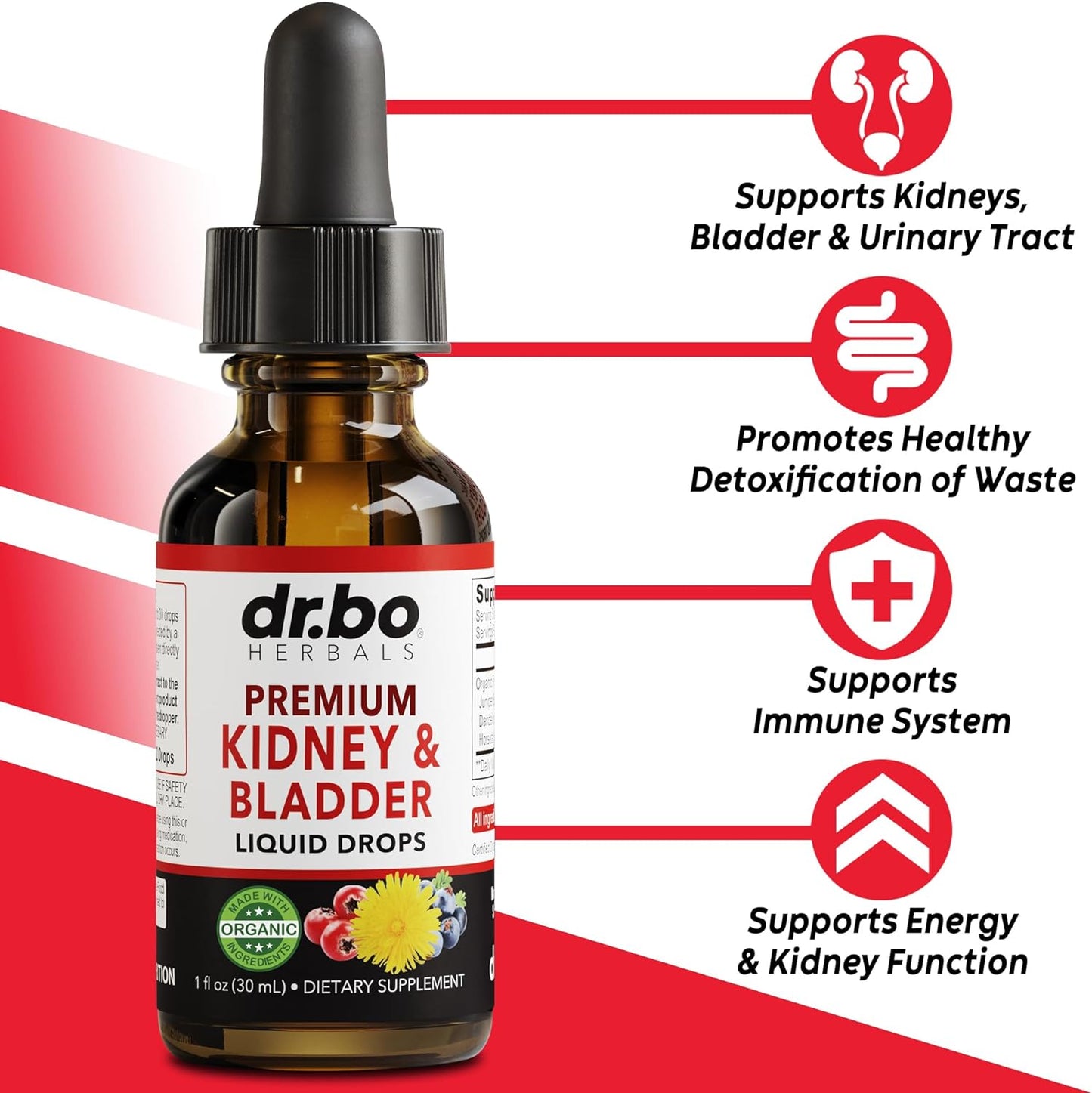 Organic Kidney Support Supplement for Bladder Health - Renal Cleanse Drops with Juniper Berry, Cleavers, Dandelion - Detox & Flush Urinary Tract - Herbal 1oz - Espot.com.au