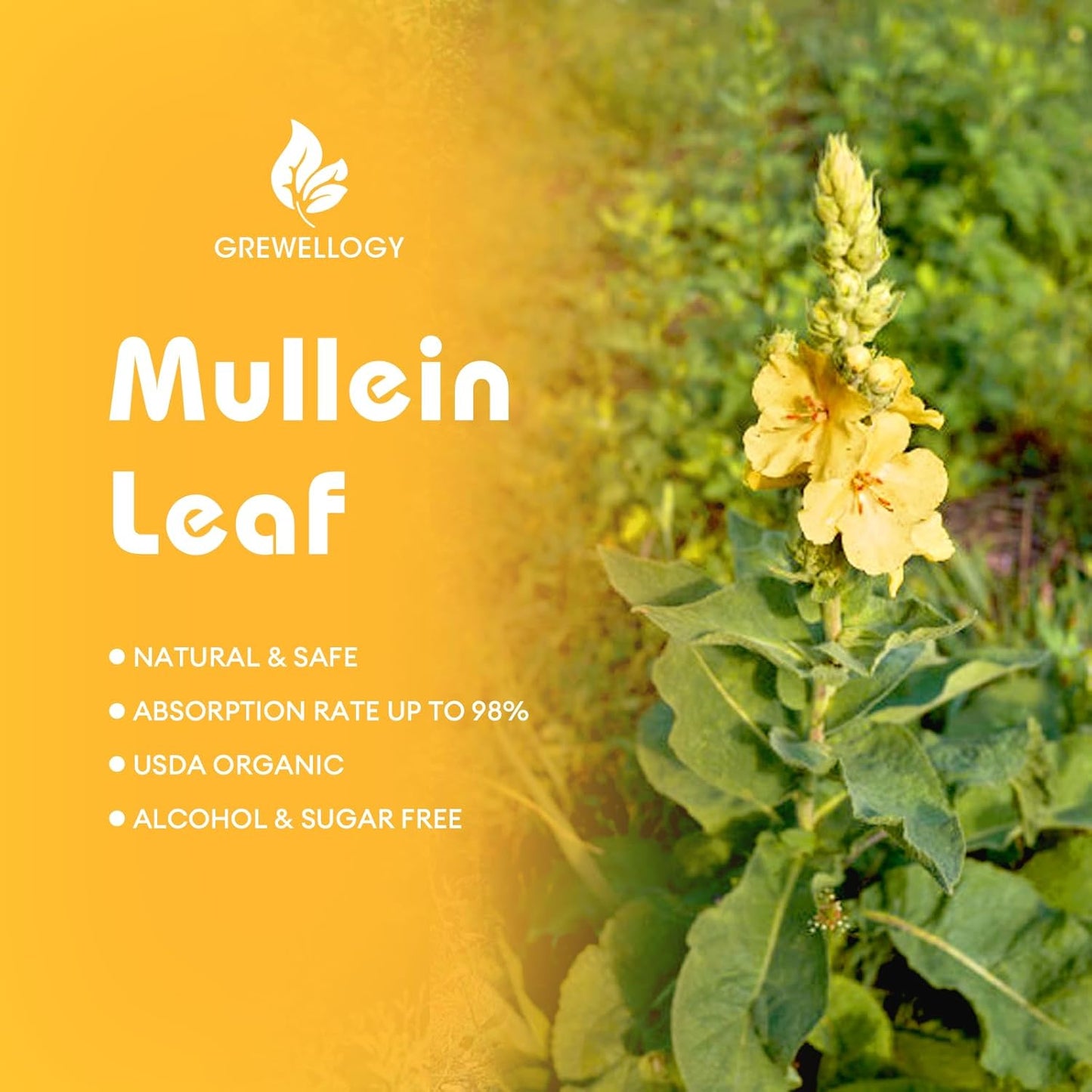 7-in-1-mullein-leaf-liquid-extract-drops-for-lung-cleanse-respiratory-support---1500mg-2-fl-oz---smokers-lung-detox-free-breathing-4