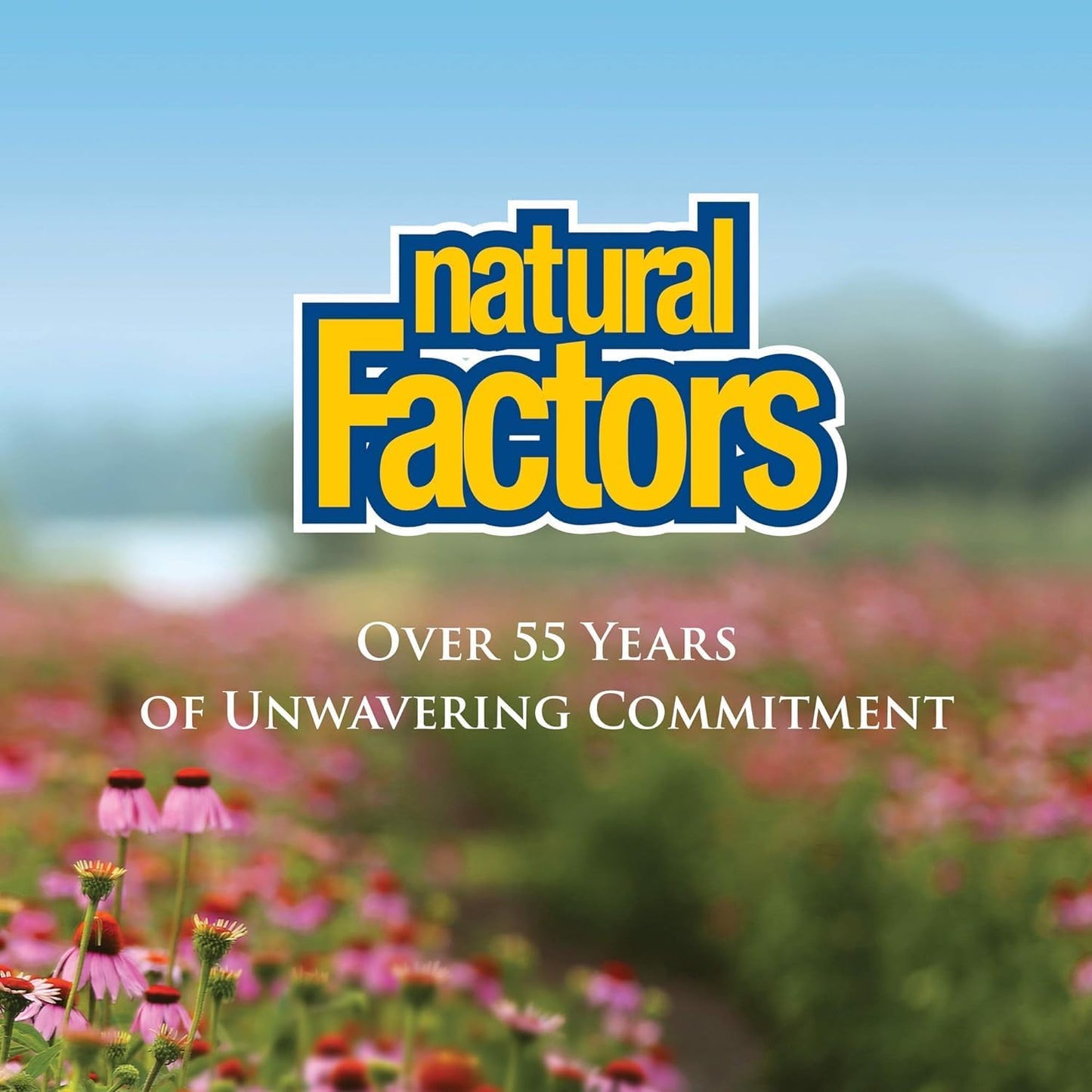 organic-echinacea-supplement-for-immune-support---anti-v-liquid-formula-by-natural-factors-non-gmo-100-servings-34-oz-9