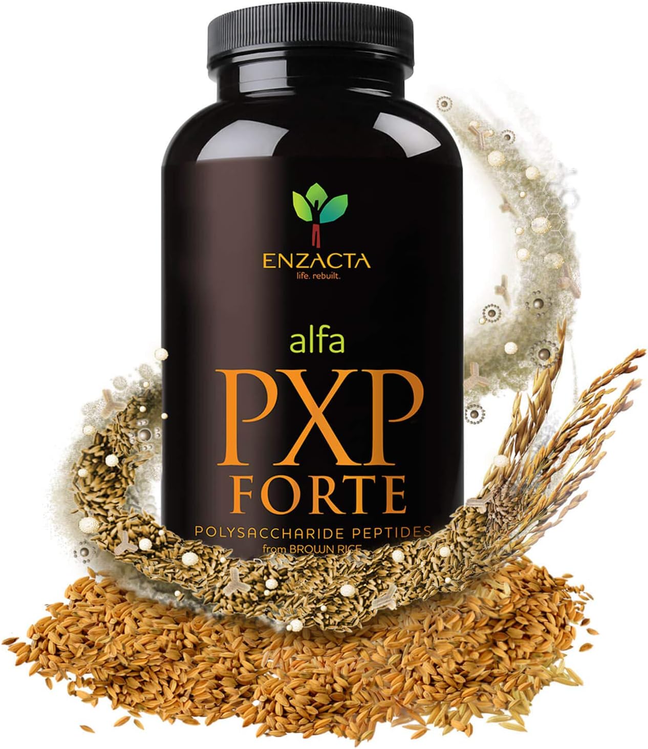 enzacta-alfa-pxp-forte-150g---30-servings-bottle---ground-supplement-1