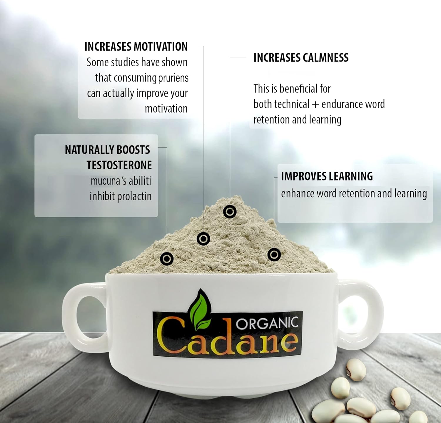 1-lb-organic-cadane-mucuna-pruriens-powder---brain-health-immune-support-energy-boost---vegan-usda-certified---pure-velvet-beans-extract-from-india-3