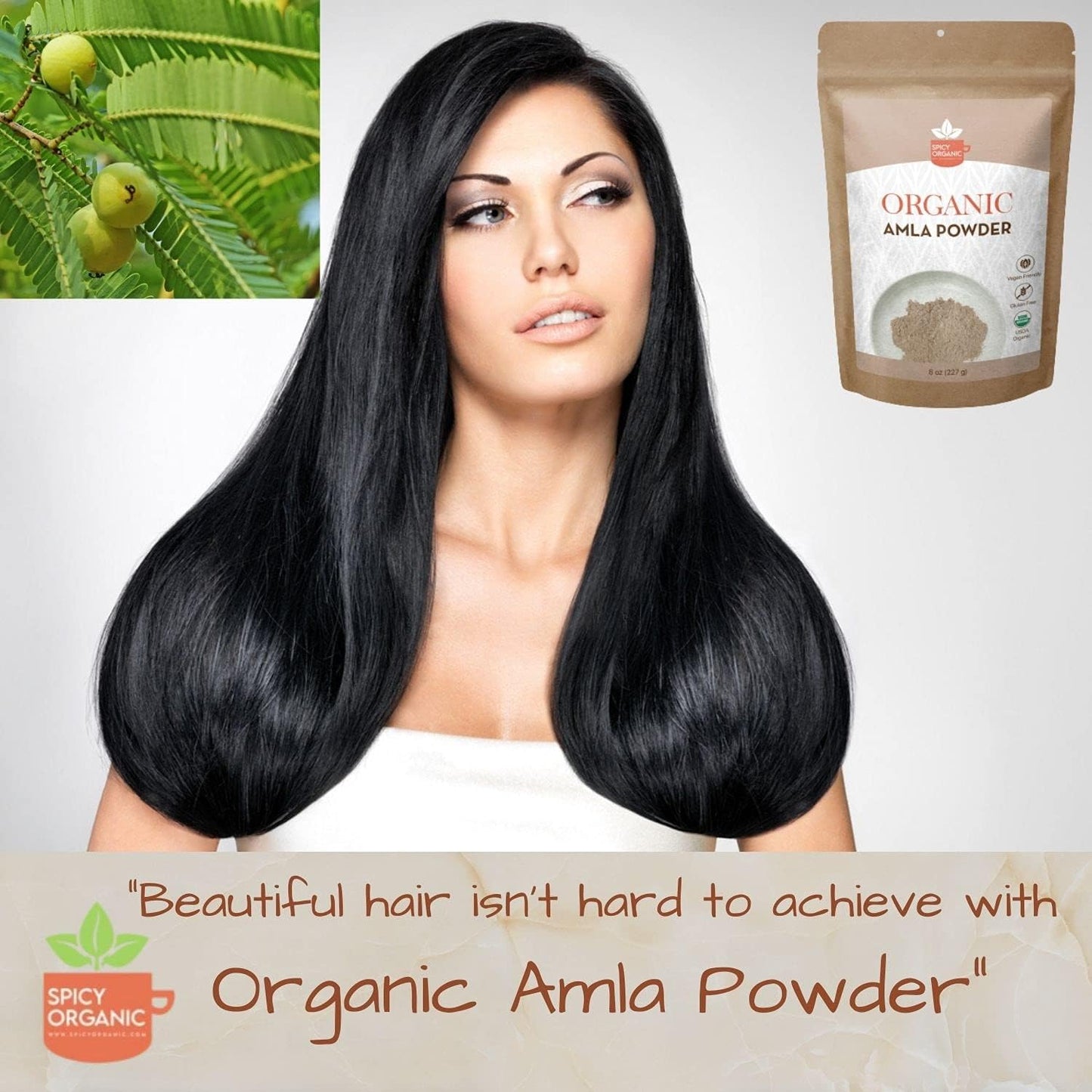 100-pure-usda-organic-amla-powder-for-hair-beverages---4-oz---spicy-organic-amla-powder-4