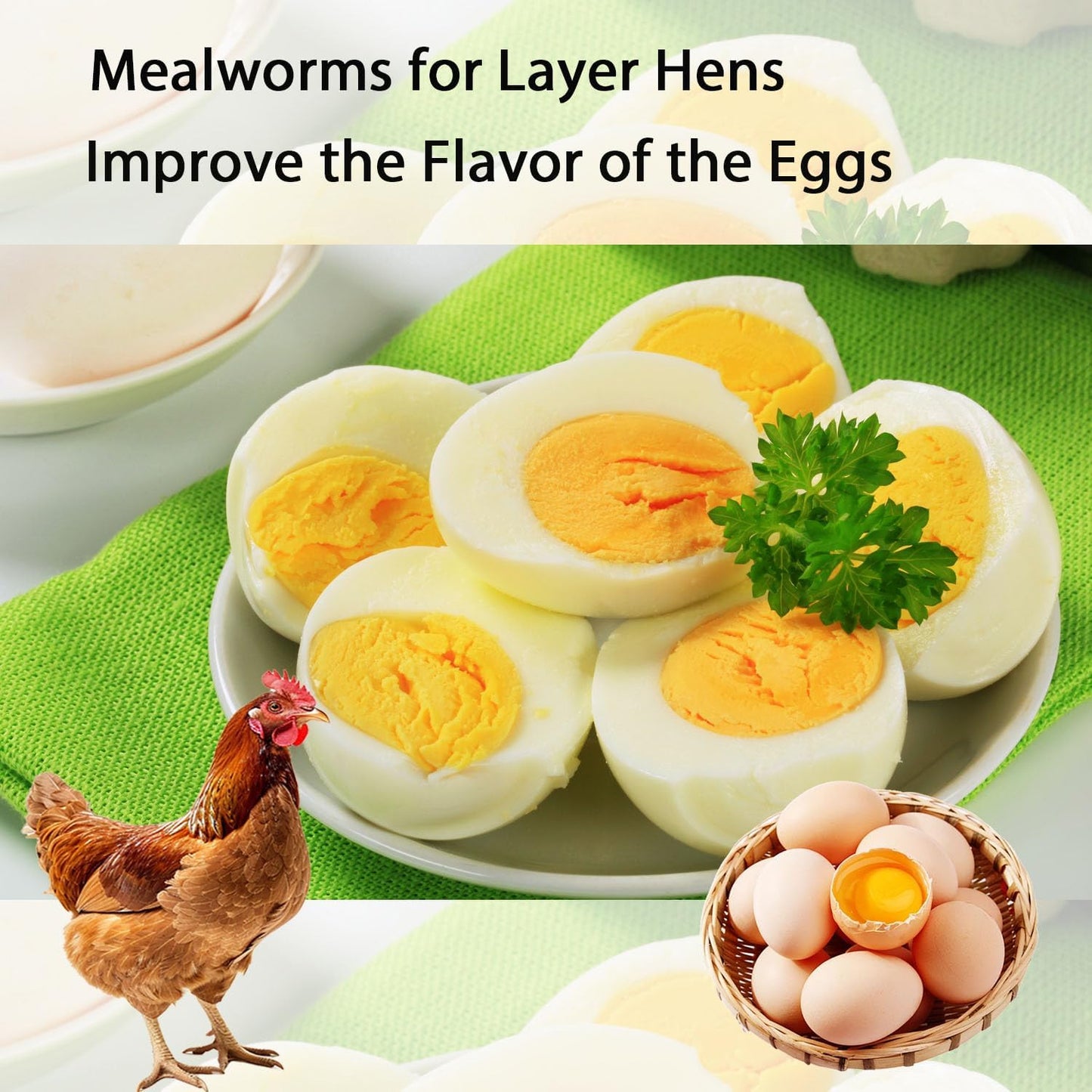 5lb-bag-of-non-gmo-dried-mealworms---high-protein-feed-for-chickens-laying-hens-and-wild-birds---pure-natural-snack-4