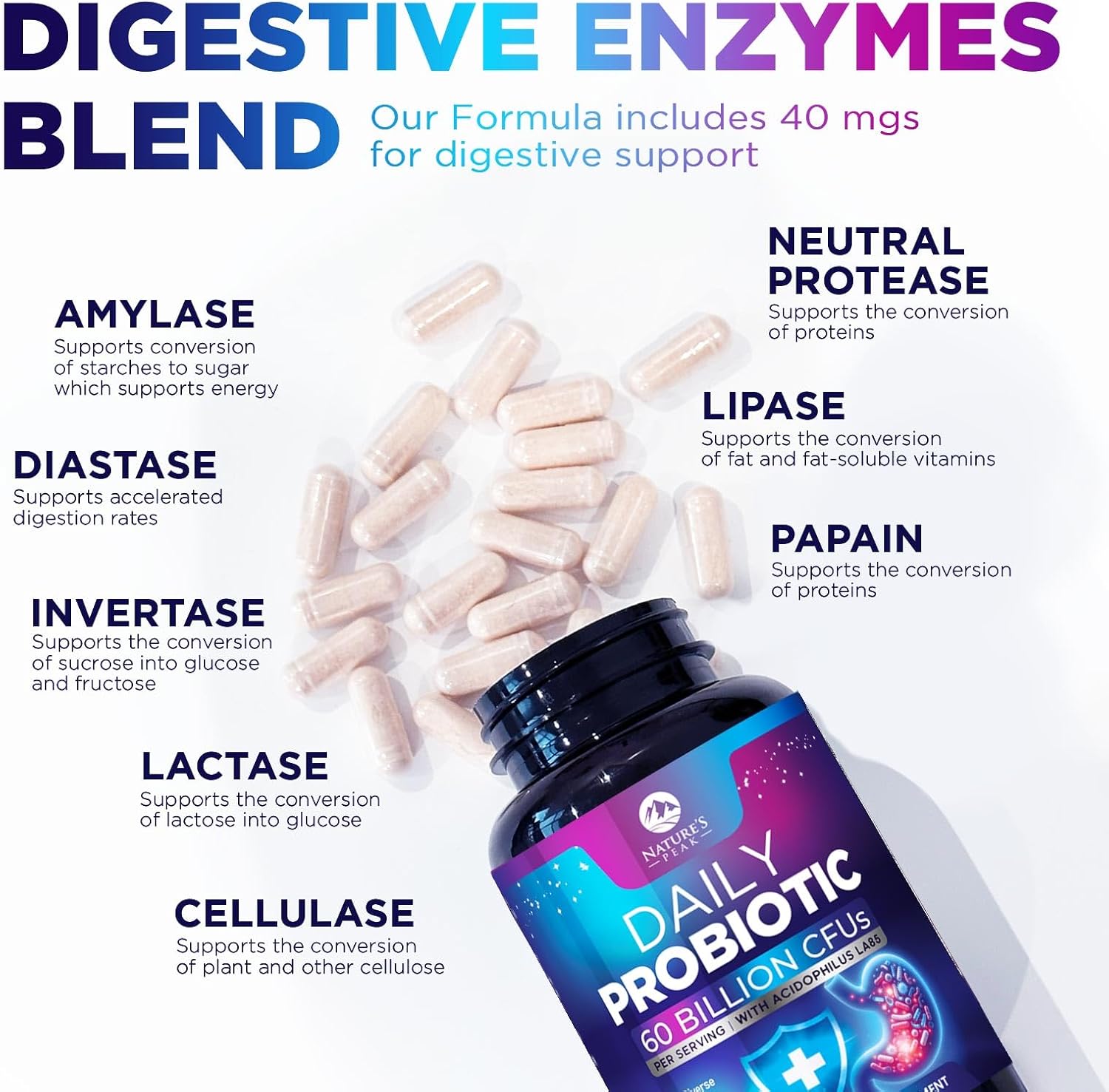 premium-daily-probiotic-supplement-60-billion-cfu---10-strains-4-prebiotics-supports-gut-health-digestive-wellness-men-women-60-capsules-6