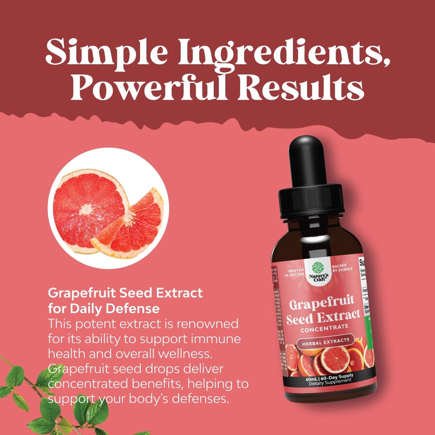 liver-support-supplement-bundle-with-nac-milk-thistle-and-gse---herbal-liquid-for-digestive-and-immune-health-7