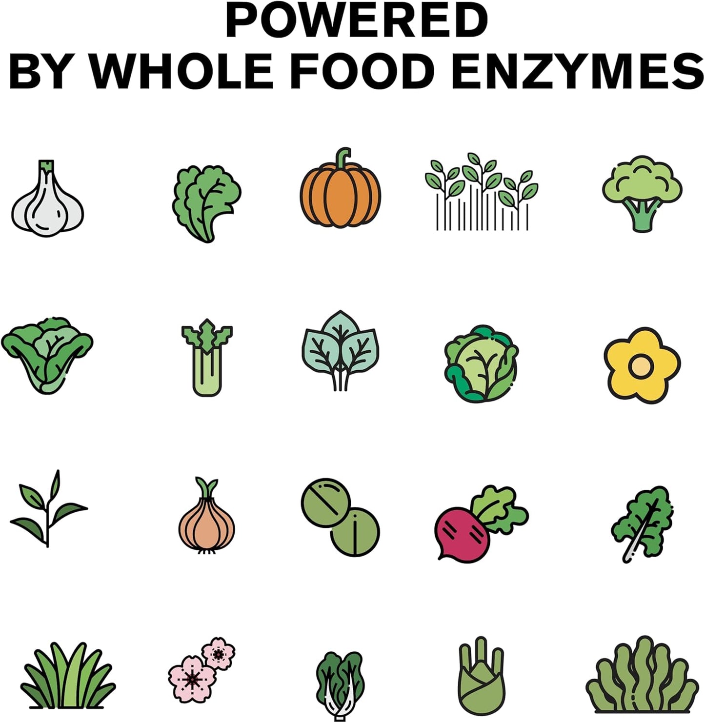 wild-foods-prebiotics-probiotics-and-digestive-enzymes---20-billion-cfu-10-strains-for-gut-health---non-gmo-fiber---60-count-2-pack-7