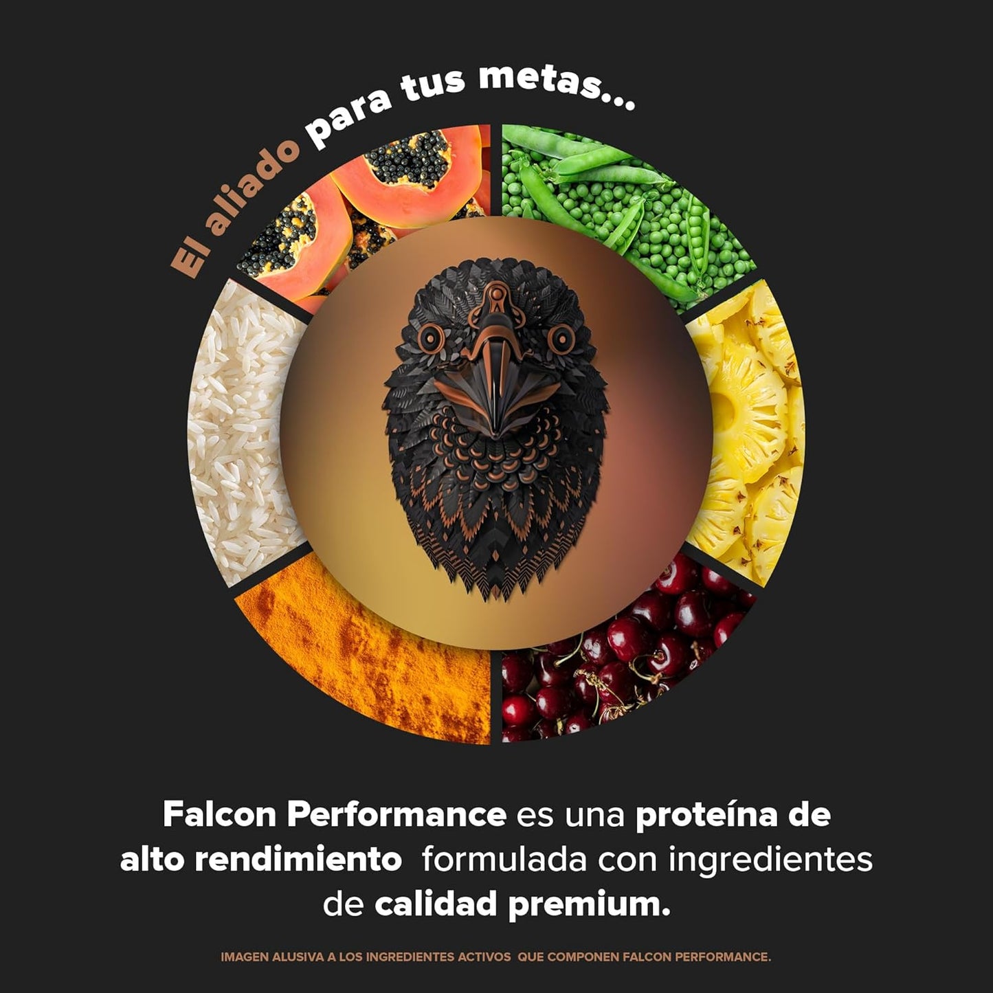 BIRDMAN Falcon Performance Premium Sport Protein Powder with Creatine - 31g Protein, 5g Creatine, Chocolate Flavor - 1.9Kg - Non-Inflammatory, Acne-Free Formula - Espot.com.au