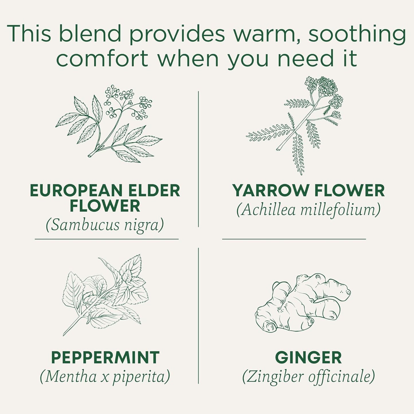 traditional-medicinals-elderflower-spice-herbal-cold-care-tea---16-tea-bags-for-seasonal-wellness-2