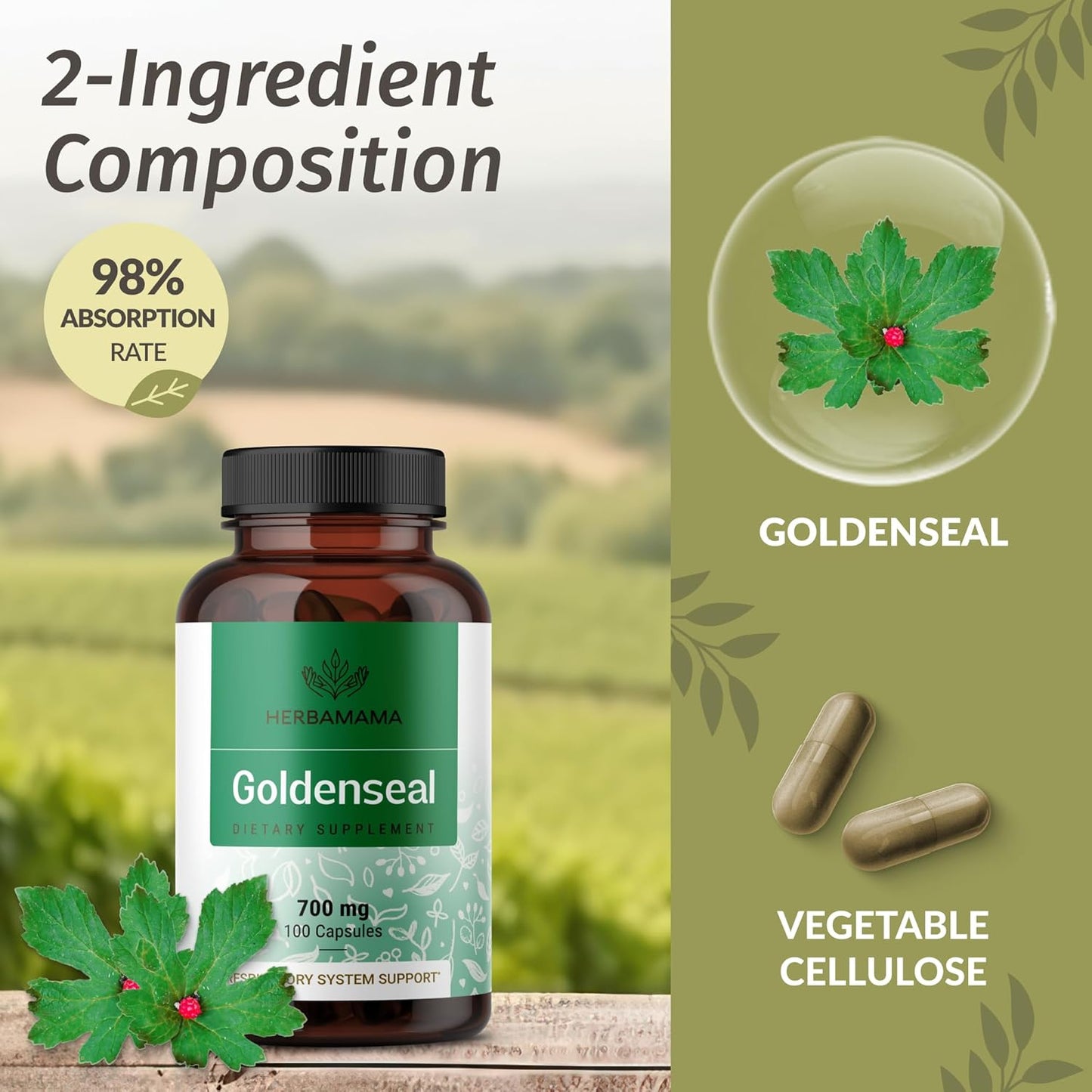 l-carnitine-and-goldenseal-bundle---acetyl-l-carnitine-gummies-1500mg-goldenseal-capsules-700mg---vegan-non-gmo---2-pack-7