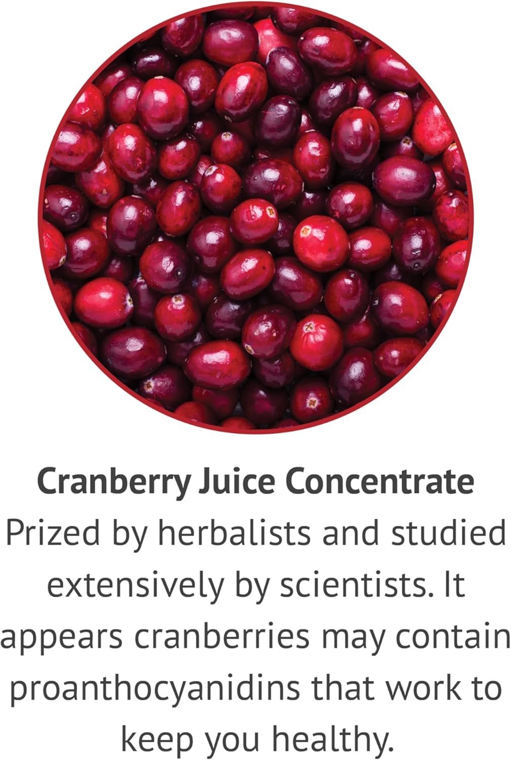 Cranberry Liquid Extract Herbal Supplement - Fast Acting & Easy to Swallow - Alcohol & Gluten Free - 1oz - Espot.com.au