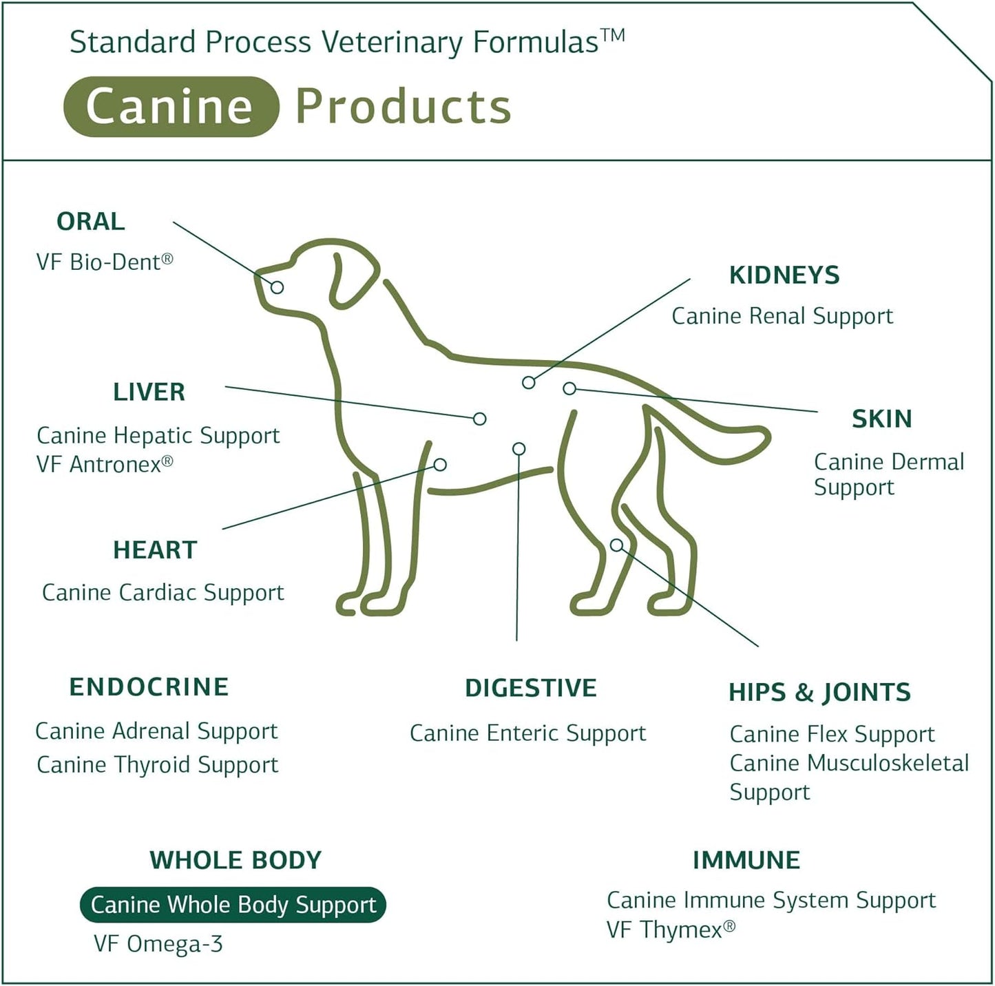 standard-process-canine-whole-body-support-powder---100g-multisystem-supplement-for-daily-health-maintenance-5