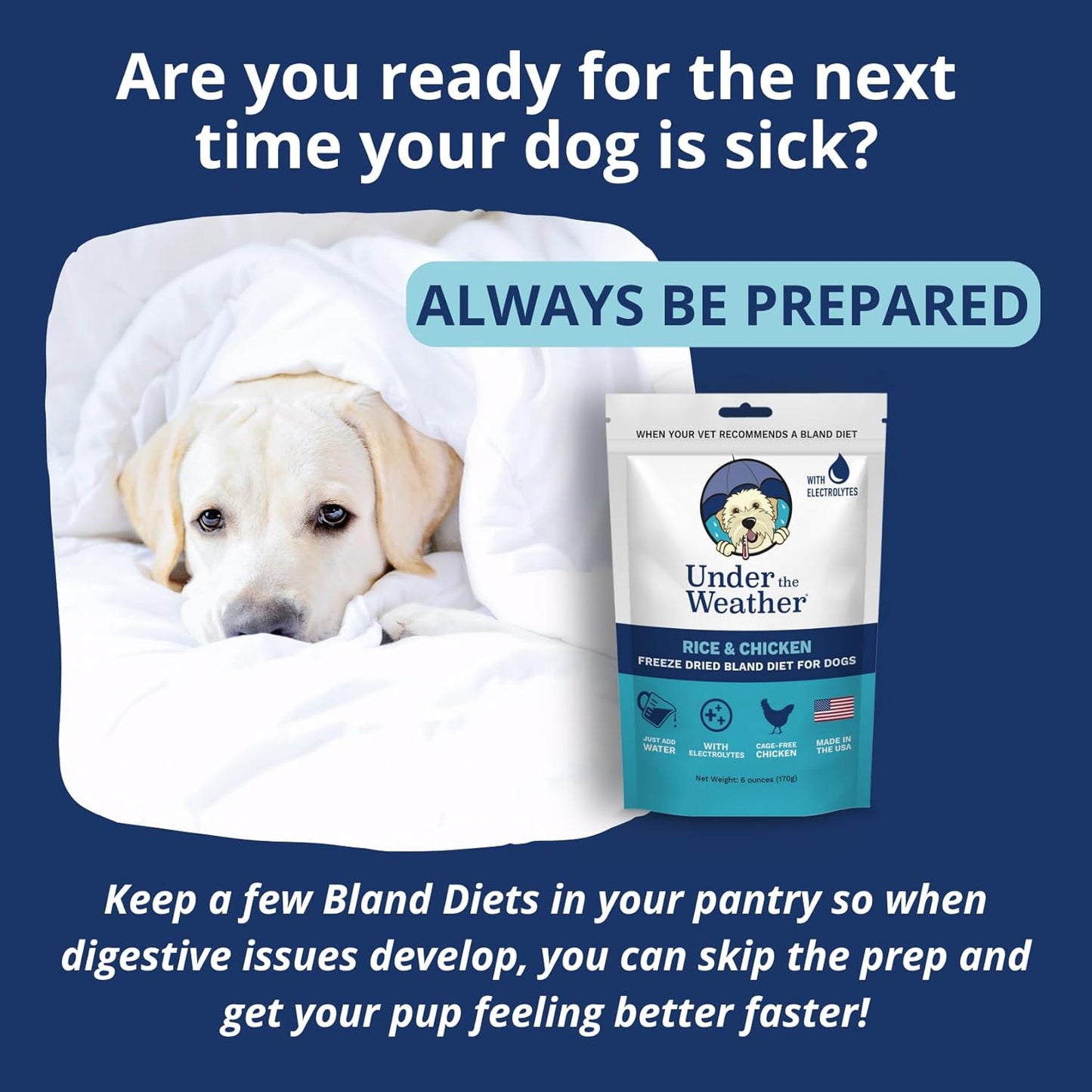 all-natural-freeze-dried-chicken-and-rice-bland-diet-for-sick-dogs-easy-to-digest-with-electrolytes-6oz-pack-human-grade-ingredients-6